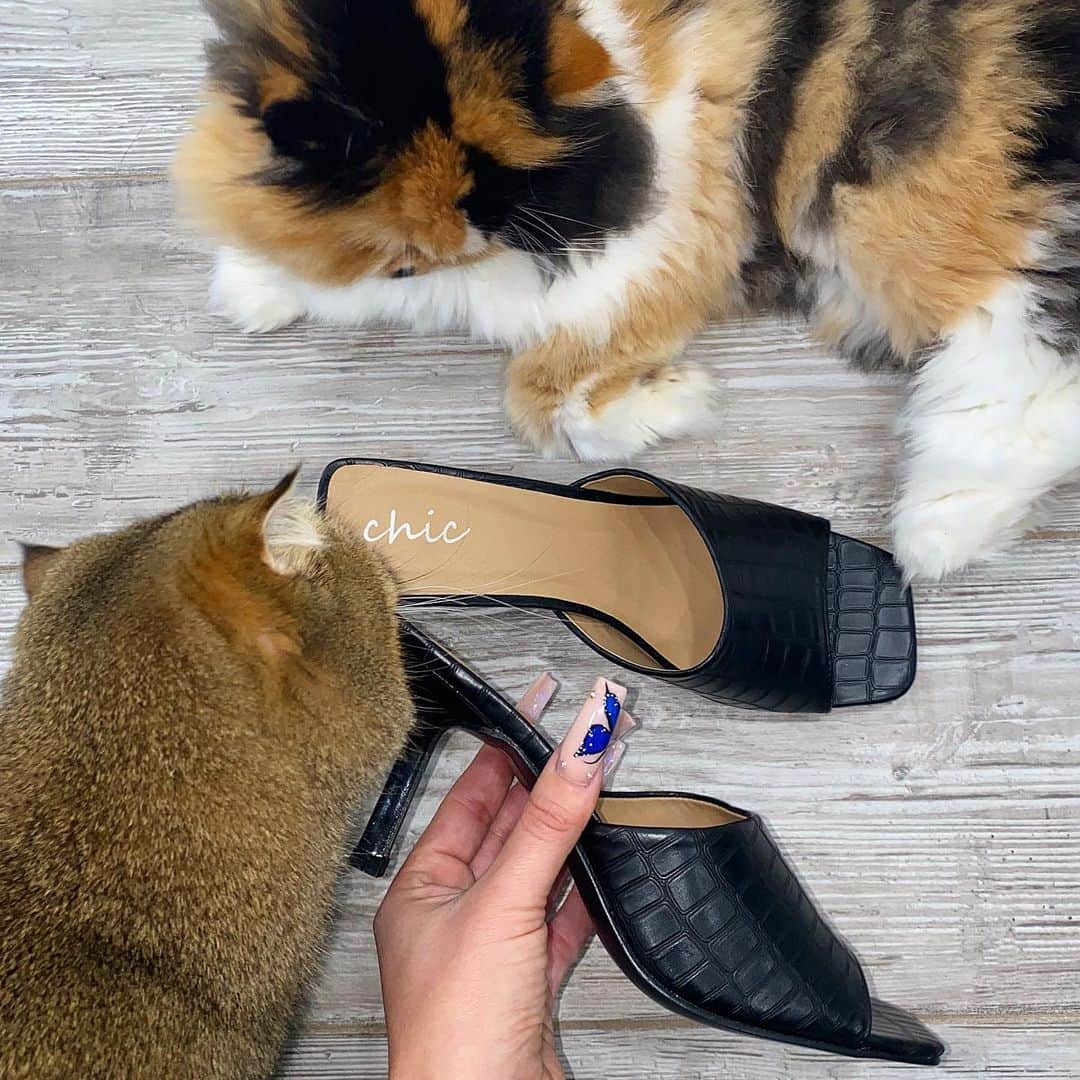 Carli Bybelのインスタグラム：「when the ladies of the house also love your new shoes 🤪😩」