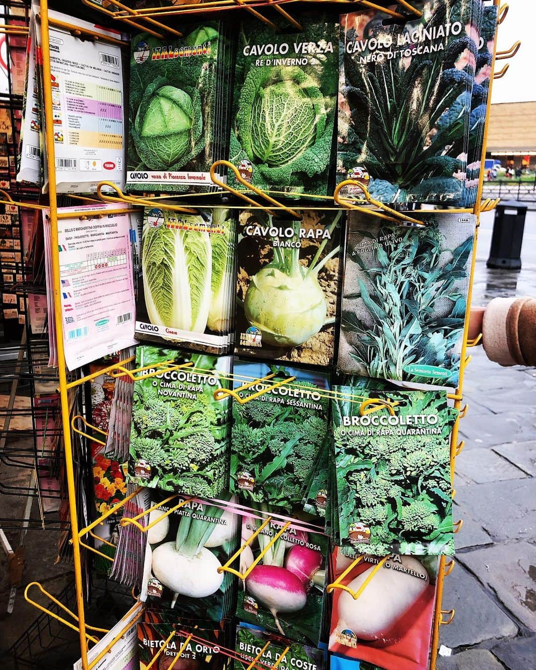 吉沢明歩さんのインスタグラム写真 - (吉沢明歩Instagram)「ちょっと珍しいイタリアン野菜に 興味がある家庭菜園は向いてないから出来ないけど、種買って帰りたかった😂 #とおりがかりに見つけた #お花屋さんの一角#野菜の種いっぱい#特にフェンネルとアーティチョーク気になります#シンプルにサラダやグリルでいただきたい😋💕」12月19日 6時19分 - akiho__yoshi