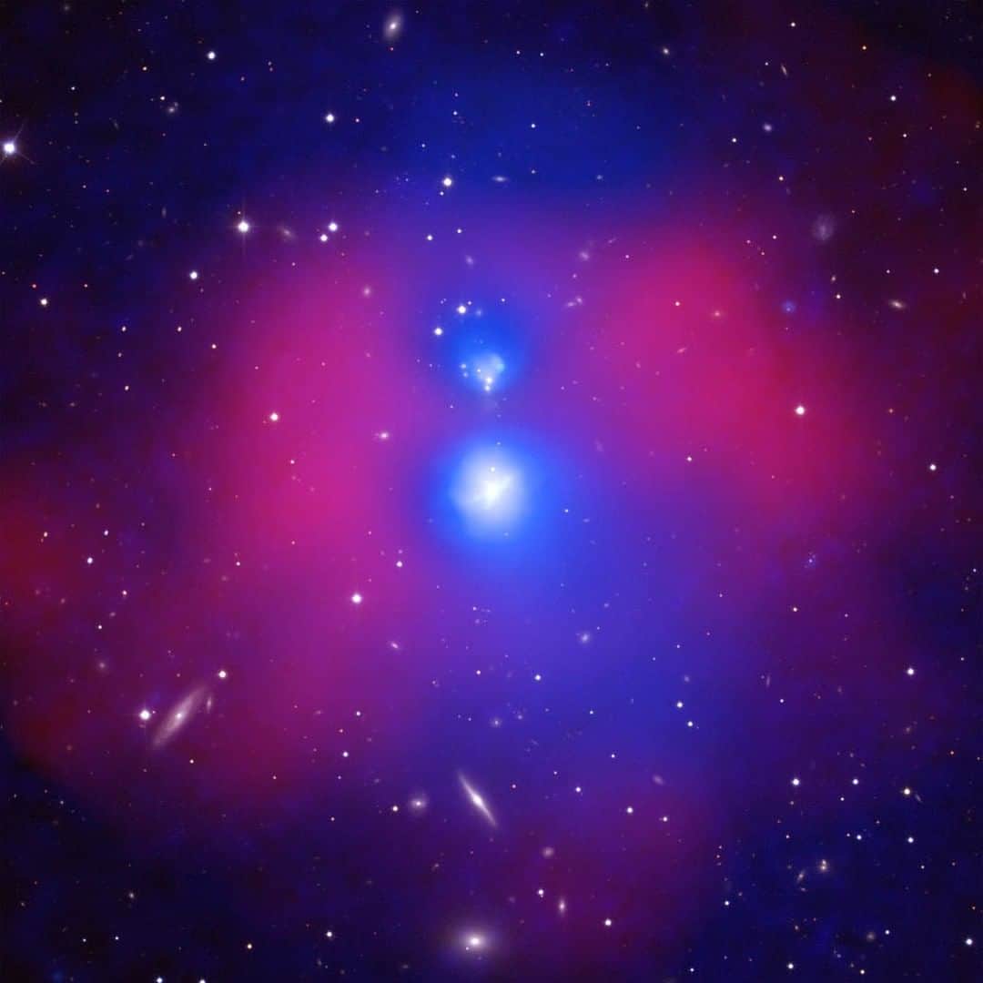 NASAさんのインスタグラム写真 - (NASAInstagram)「We're here for the cozy cosmos! In this @nasachandraxray image, two groups of galaxies rush together and produce warmth.⁣ ⁣ Most galaxies don't exist in isolation. They're bound to other galaxies through gravity —  either in relatively small numbers known as “galaxy groups” or larger concentrations called “galaxy clusters” consisting of hundreds or thousands of galaxies. ⁣ ⁣ The system of galaxies is called NGC 6338, located about 380 million light-years from Earth, with a mass within about 100 trillion times the mass of the Sun. In this composite image, X-ray data from Chandra in red shows hot gas with temperatures upward of about 20 million degrees Celsius. Cooler gas detected with Chandra and @europeanspaceagency's XMM-Newton is shown in blue. Optical data from the Sloan Digital Sky Survey shows galaxies and stars in white.⁣ ⁣ Image credit: X-ray: Chandra: NASA/CXC/SAO/E. O'Sullivan; XMM: ESA/XMM/E. O'Sullivan; Optical: SDSS⁣ ⁣ #nasa #cosmos #universe #galaxies #hygge #space」12月19日 7時00分 - nasa