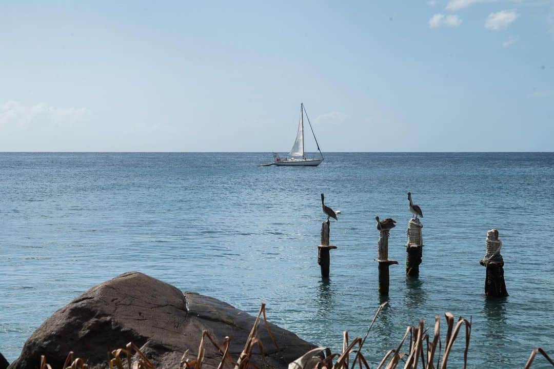 シグリッド・アグレンさんのインスタグラム写真 - (シグリッド・アグレンInstagram)「Not a bad day 😍⛵️ #sailaway #martinique #carribeanlife」12月19日 7時00分 - sigridagren