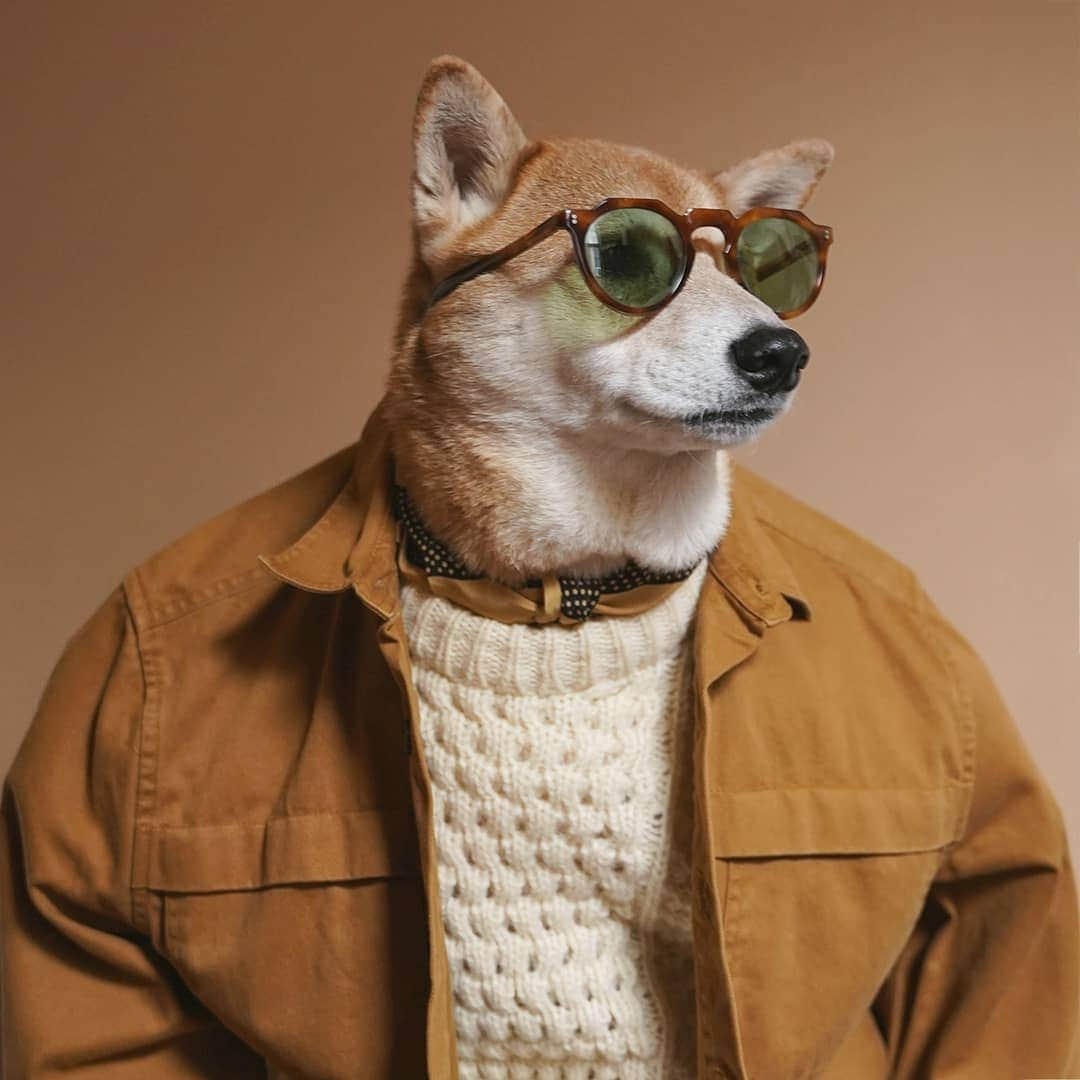 Menswear Dogさんのインスタグラム写真 - (Menswear DogInstagram)「Flexing into Grandma's house like  Vote: Look 1 or Look 2? 😎👇」12月19日 7時28分 - mensweardog