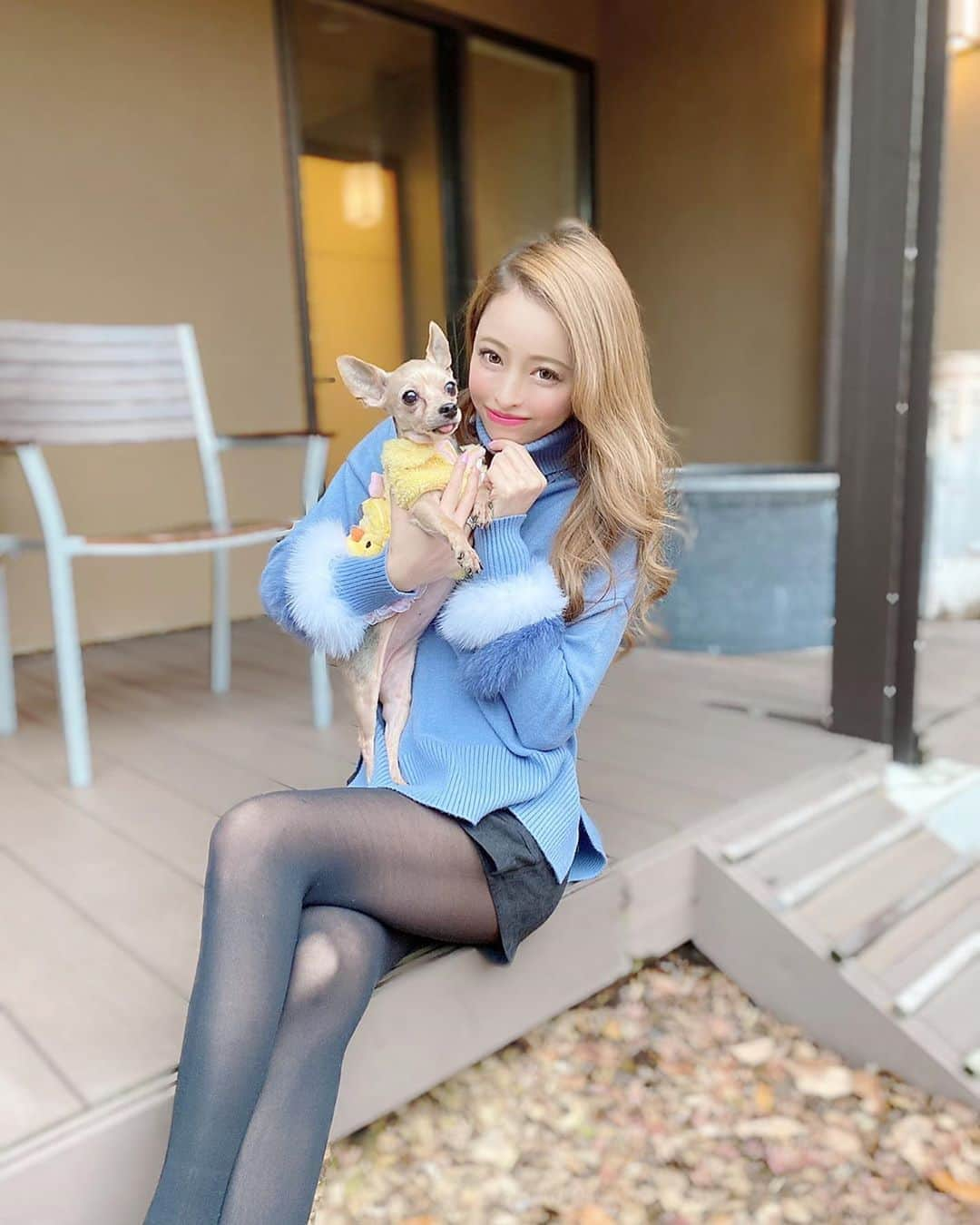 ririさんのインスタグラム写真 - (ririInstagram)「ずっと仲良し❤️☃️❤️ #旅行　も一緒💕🐾 のんびり😘してます🌱  #love #dog #yorkie  #ヨークシャテリア」12月19日 18時50分 - riri.ribon