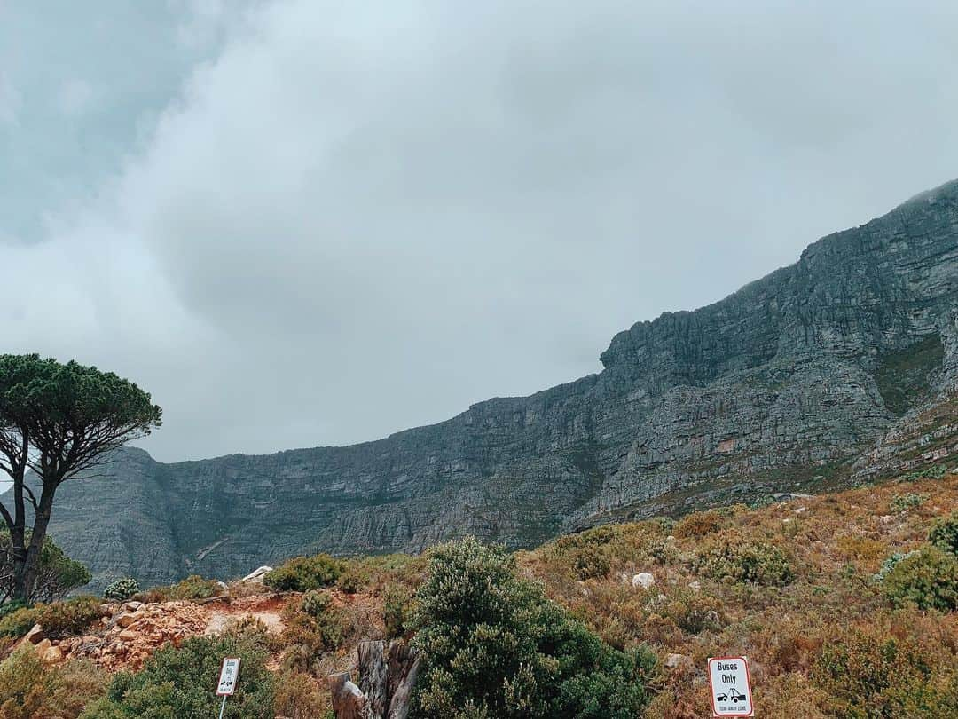 AMIさんのインスタグラム写真 - (AMIInstagram)「南アフリカのCape Townに来ています🇿🇦 16日に日本を発って20時間以上かけて到着しました。 2019年ラスト海外楽しみます✨  #南アフリカ #amiayatrip」12月19日 17時33分 - amixxamiaya