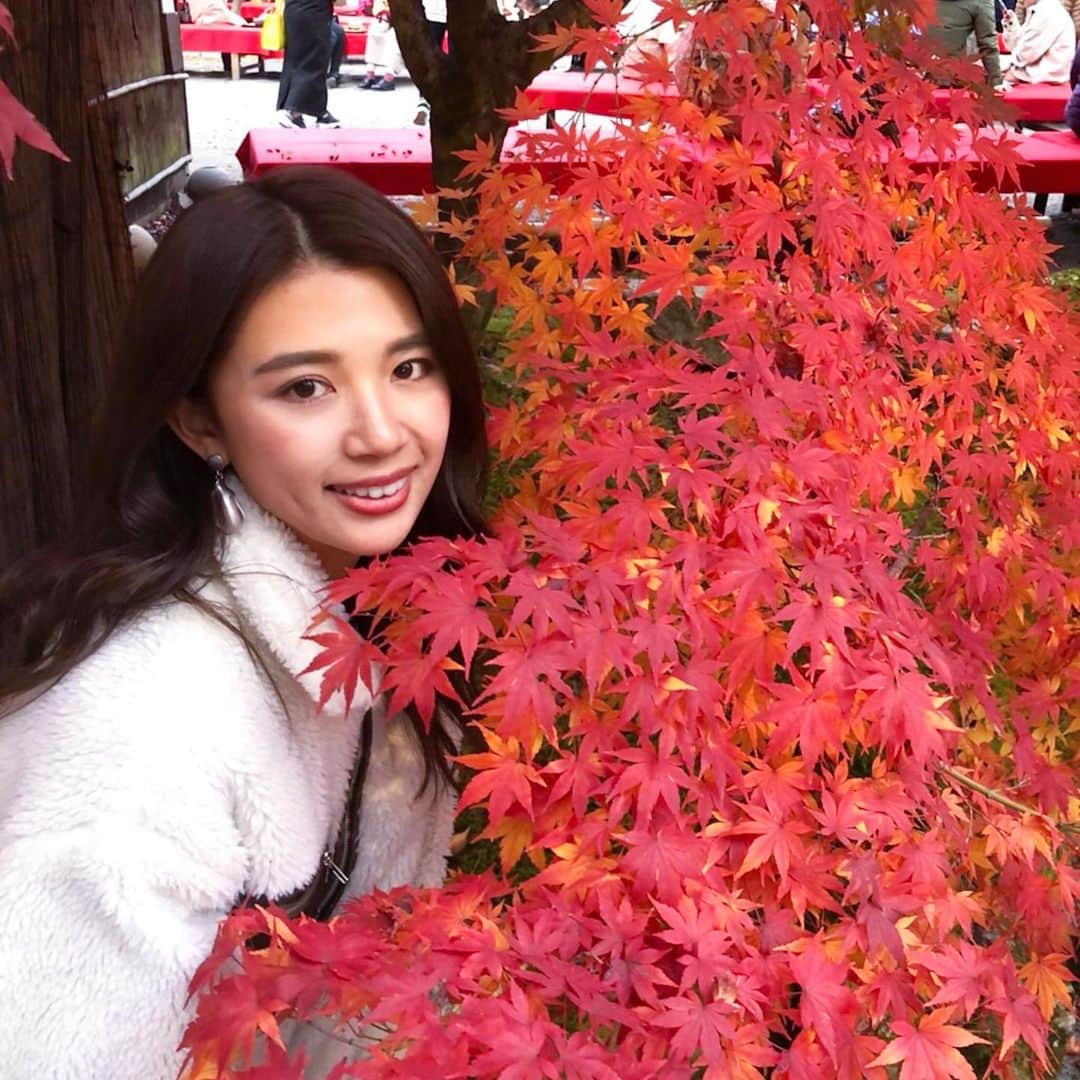 のインスタグラム：「. . お気に入りの紅葉shot🍁 もうすぐクリスマスだけど🤣 クリスマスマーケット行きたいなぁ🎄 . . #もうすぐクリスマス #いよいよ今年も残りわずか #最後まで楽しもう #野球 #野球女子 #fitness #fitnessgirl #run #running」