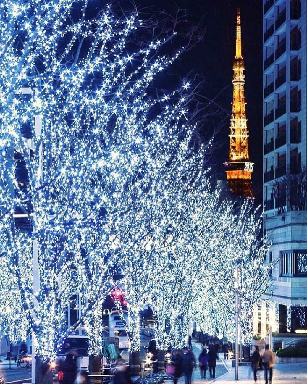 The Peninsula Tokyo/ザ・ペニンシュラ東京さんのインスタグラム写真 - (The Peninsula Tokyo/ザ・ペニンシュラ東京Instagram)「クリスマスの煌びやかなイルミネーションで彩られている東京各所✨こちらは、約70万灯のLEDが約400mのけやき並木を彩る「けやき坂イルミネーション」。今年も美しい洗練された煌めきに包まれています。皆さまのお気に入りのイルミネーションスポットはどちらですか？  The festive fever is definitely alive in Tokyo. One of our best picks for this year's winter illuminations is at Keyakizaka Dori in Roppongi, with thousands of shining blue LED lights. ✨」12月19日 18時09分 - thepeninsulatokyo