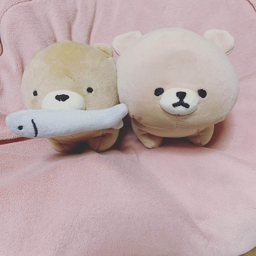 シャンブルオフィシャルさんのインスタグラム写真 - (シャンブルオフィシャルInstagram)「* かわいい🐻のぬいぐるみ✨ ふわふわで思わず抱きしめたくなっちゃいますね😍 . 『#シャンブル』のハッシュタグと シャンブルの商品を撮影したお写真を投稿してくれた方の中からいくつかシャンブルアカウントで投稿を紹介させていただきます❋ . ✂✂---------------------------- . ＠yu_miu3471さん シャンブルアイテムの投稿 ありがとうございます . -----------------------------✂✂ . 商品名：テノリクマ（左） 品番：204-1869 売価：1,000円+税 . 商品名：モフモフレンズクマ（右） 品番：204-1866 売価：1,000円+税 . 商品については店舗により在庫が異なりますので、 お近くの店舗にお問い合わせください。　 売り切れの際はご容赦ください。 . #シャンブル #私のシャンブル #ぬいぐるみ #癒やし #かわいい #可愛い #冬が好き #冬ファッション #暮らしを楽しむ #chambre #winter #冬 #クッション #くま #クマ #クマクッション #くまクッション #もこもこ #ぬくぬく #ぽかぽか #インテリア #リラックス #癒しグッズ #癒しの時間 #癒しの空間 #くまのぬいぐるみ #ぬいぐるみ好き #🐻 #ぬいぐるみは家族 #ぬいぐるみ大好き」12月19日 10時41分 - grchambre