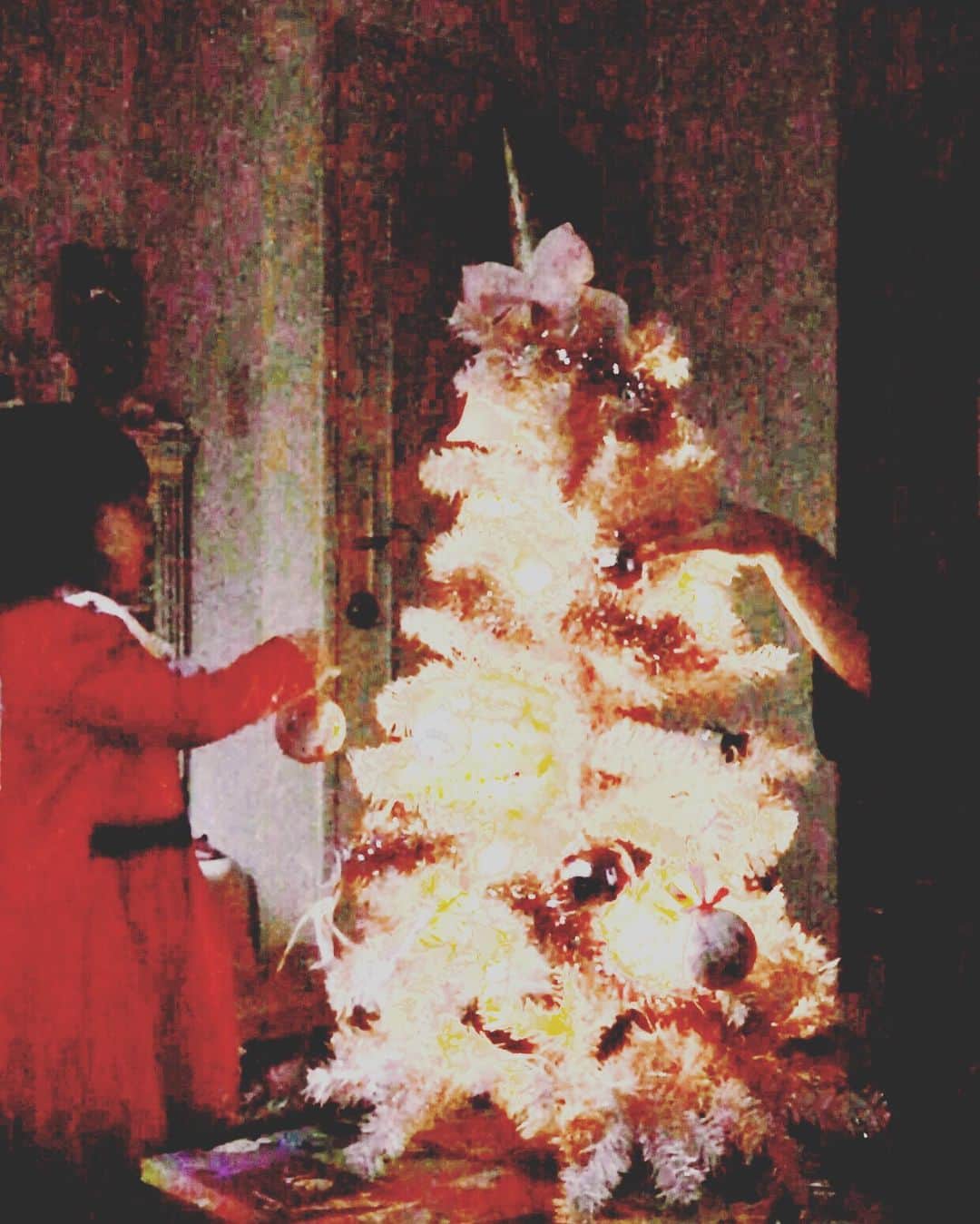 有坂美香さんのインスタグラム写真 - (有坂美香Instagram)「My girl decorating the Christmas tree for the first time.. It's my first time having a Christmas tree of our own🎄  #ツルピカタマゴちゃん  #初めてのクリスマスツリー🎄デコレーション⭐️ 飾って完成したら、クリスマス楽しかったね！さあ片付けようかって言ったけど😂」12月19日 10時48分 - mikaarisaka