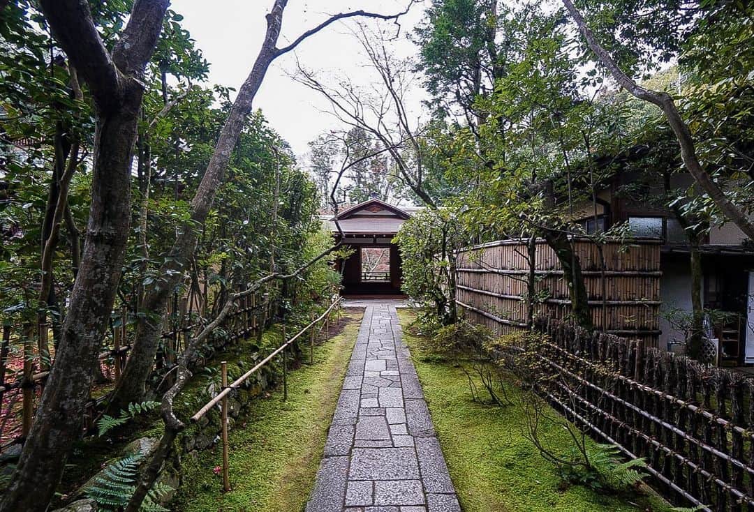 伊藤瑞貴建築設計事務所のインスタグラム：「きょうはきょうと。  #高桐院 #京都 #そうだ京都に行こう #京都巡り #これも仕事です」