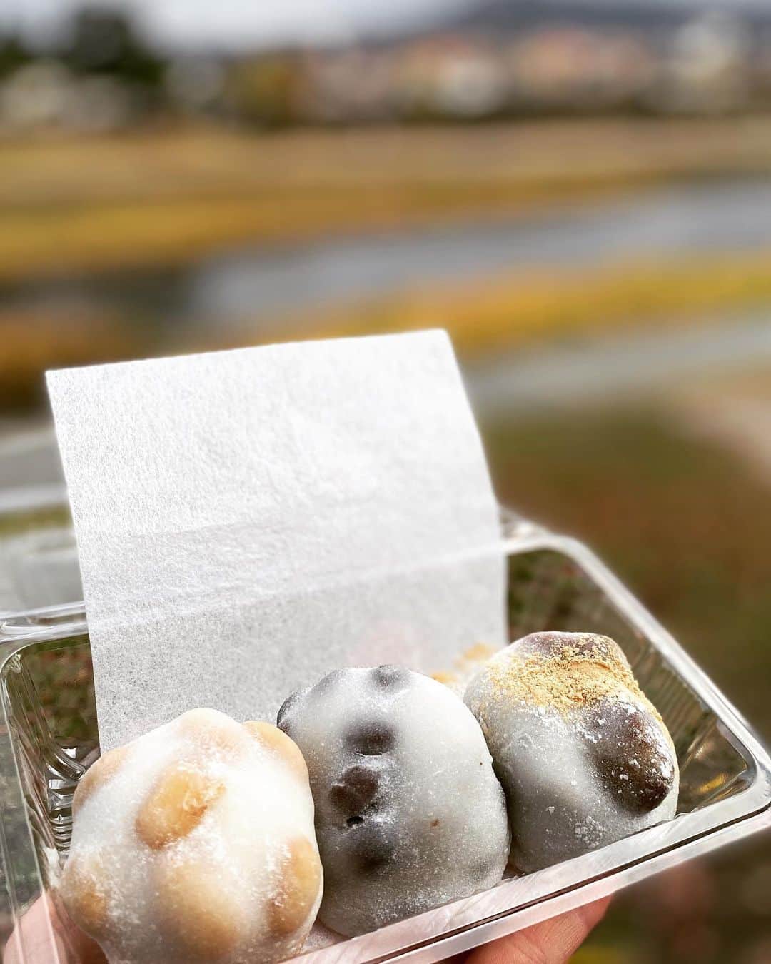 鮫島彩さんのインスタグラム写真 - (鮫島彩Instagram)「・ ・  トレーニング帰りに『出町ふたば』 ・ ・ 左から福豆大福(いもあん)。豆餅。栗餅。 ・ ・ これは夢穂が大絶賛するわけだ。 上品な甘みに絶妙な塩気。 そしてモチモチのお餅。 とっても美味しい。  #パワーマックスやりきった祝い #京都グルメ #関西グルメ #出町ふたば #豆餅」12月19日 13時02分 - aya_sameshima