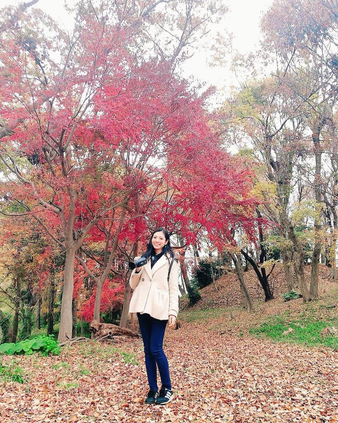 原アンナさんのインスタグラム写真 - (原アンナInstagram)「12月にこんなに鮮やかに紅葉が🍁✨✨ 寒さも吹き飛ぶ美しさですね🎉✨✨ . #かながわらく楽ウォーキング  #海老名　#古墳　#秋葉山 #放送は新年です」12月19日 14時05分 - annahara821