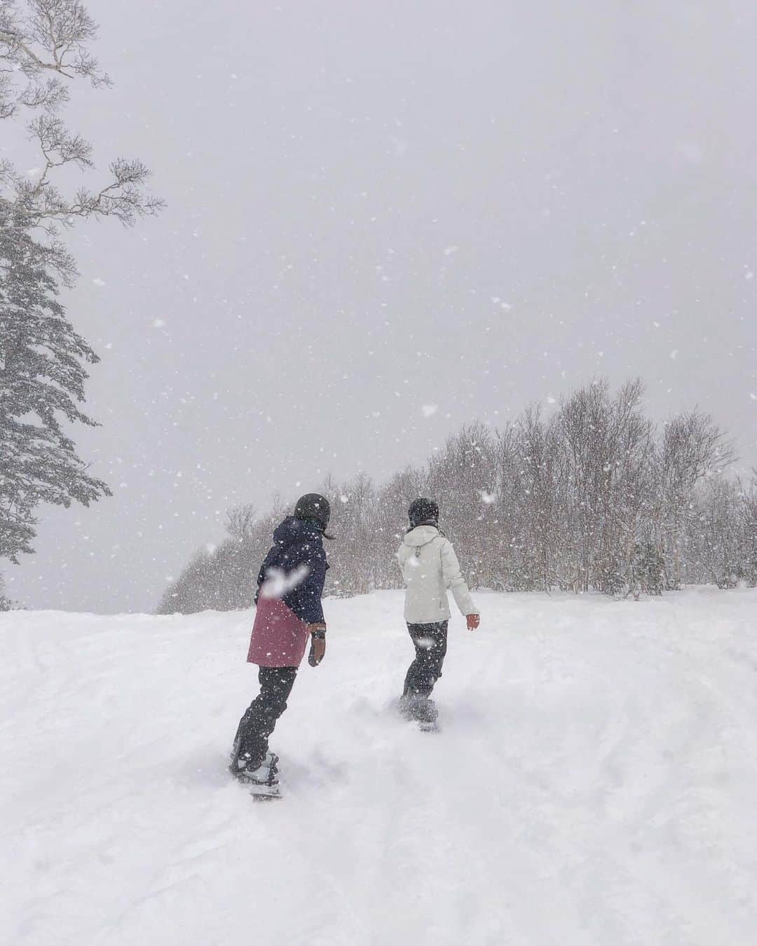 田中幸さんのインスタグラム写真 - (田中幸Instagram)「本気の雪が降り出した北海道 一緒に滑ってくれた ローカルのみんな♫  たくさん【ムラちゃん】協力 ありがとう😊  なごり雪見ながら 泣く泣く帰ります⛴  @marmot_japan  @marmot  @keen_japan  @keen  @sandboxjapan  @k2.snowboarding  @hestragloves  @oakleyjapan @murasakisports_official」12月19日 14時36分 - sachitanaka