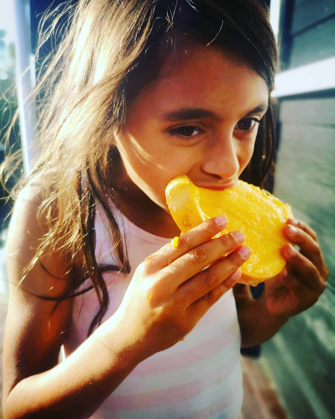 マヌー・ベネットさんのインスタグラム写真 - (マヌー・ベネットInstagram)「Mango was always my favourite summer sweet. #weisbar make a good mango ice treat but this particular mango was the perfect ripeness, sweet & #paniabennett got to slurp the pip.」12月19日 14時59分 - manubennett