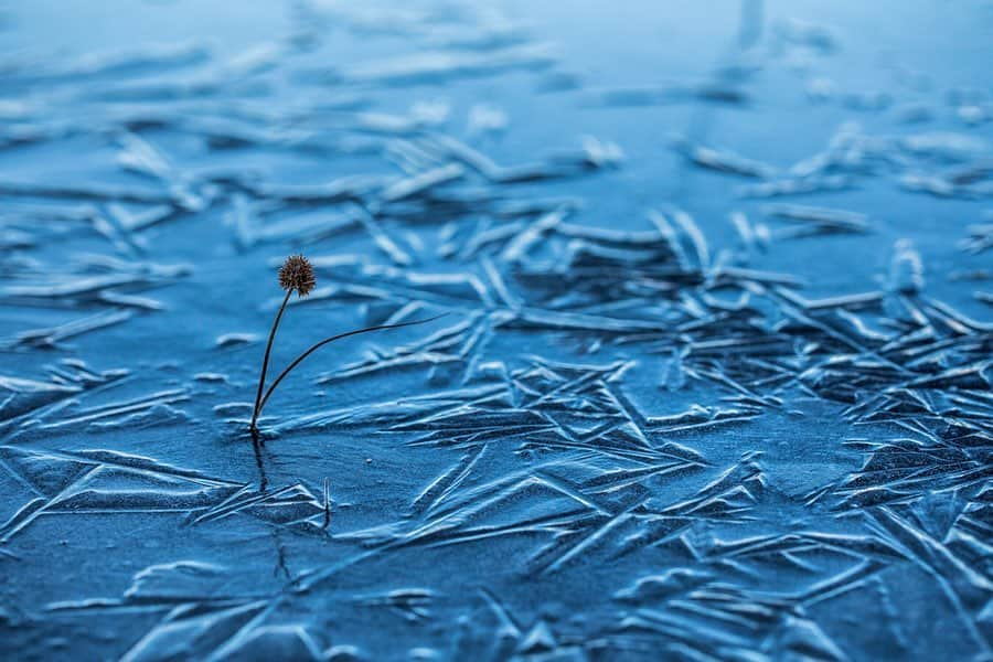 アンジー・ペインさんのインスタグラム写真 - (アンジー・ペインInstagram)「Winter, part III. • • • • • #macro #macrophotography #landscape #landscapephotography」12月19日 15時01分 - angelajpayne