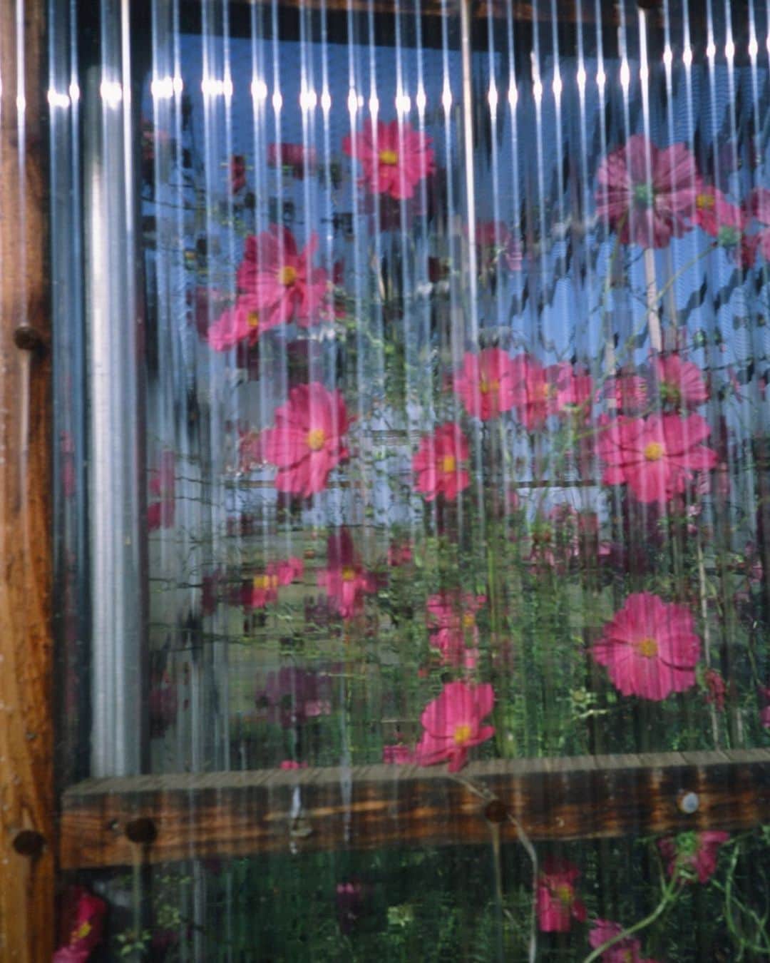 黒河内真衣子のグルメインスタ