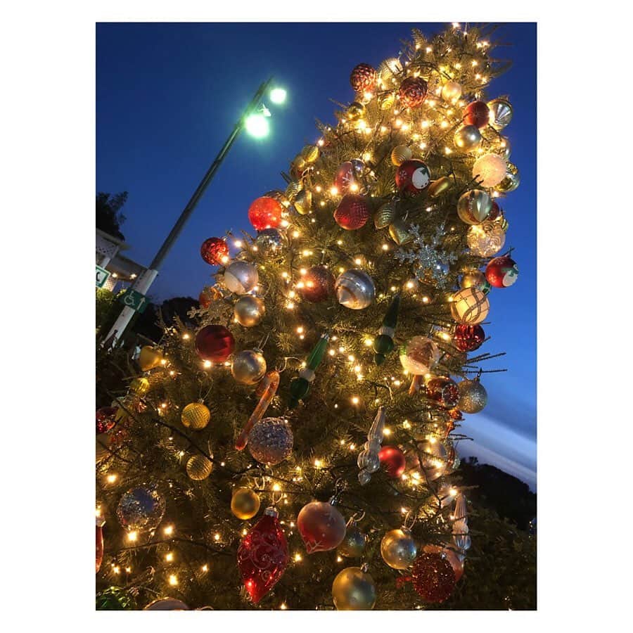 柳野玲子さんのインスタグラム写真 - (柳野玲子Instagram)「もうすぐクリスマスですね🎅🎄 一年の中で一番大好きな季節…🥰 日々バタバタしていて今年はあまりクリスマスを感じられていませんが、街でふと見かけるクリスマス飾りがキラキラしていて癒されています(*´꒳`*)💓 るんるん🥰 #クリスマス #メリークリスマス #イルミネーション #癒し」12月19日 15時32分 - yanaginoreiko