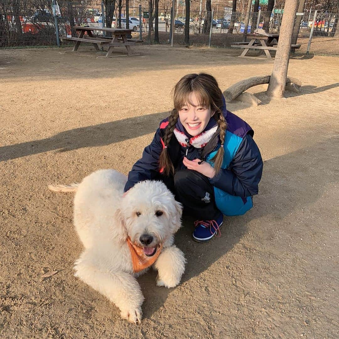 イ・ユビさんのインスタグラム写真 - (イ・ユビInstagram)「강아지놀이터에서 꾹이랑 🐶🧡 어쩜이렇게이쁘니😣  #### #개는훌륭하다」12月19日 17時12分 - yubi_190