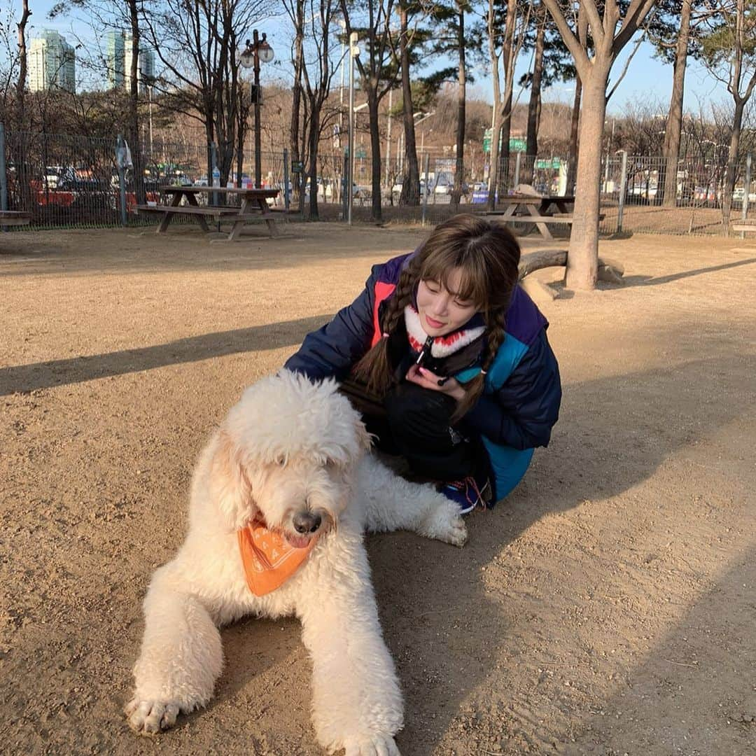 イ・ユビさんのインスタグラム写真 - (イ・ユビInstagram)「강아지놀이터에서 꾹이랑 🐶🧡 어쩜이렇게이쁘니😣  #### #개는훌륭하다」12月19日 17時12分 - yubi_190