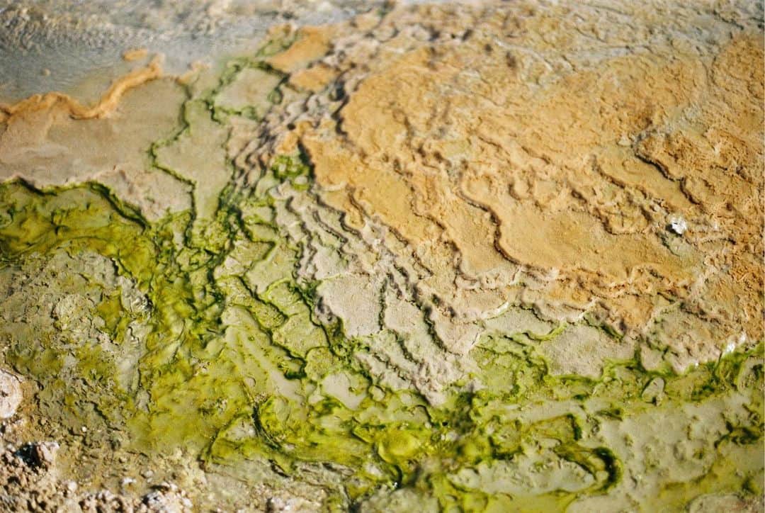 Sarahのインスタグラム：「Geysers in Atacama lure you in with worlds of detail. The cauldrons of Mother Earth have apparently boiled many from the inside who get too close. Brazilians particularly (or so we were told)」
