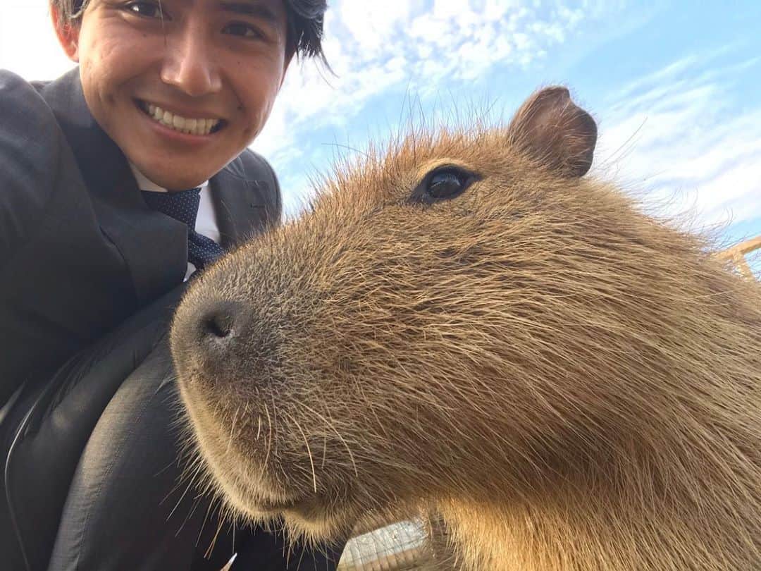 フジテレビアナウンサーのインスタグラム：「こんばんは、初めましてカピバラです。 先日、安宅アナが取材で会いに来てくれました。 寒暖差の大きい日々が続きますが、 日光浴と温かいお風呂で 体調管理をしっかりして乗り越えていきましょう！  #カピバラ #フジテレビアナウンサー #livenewsit! の取材で #アロハガーデンたてやま に行った #安宅晃樹 でした。」