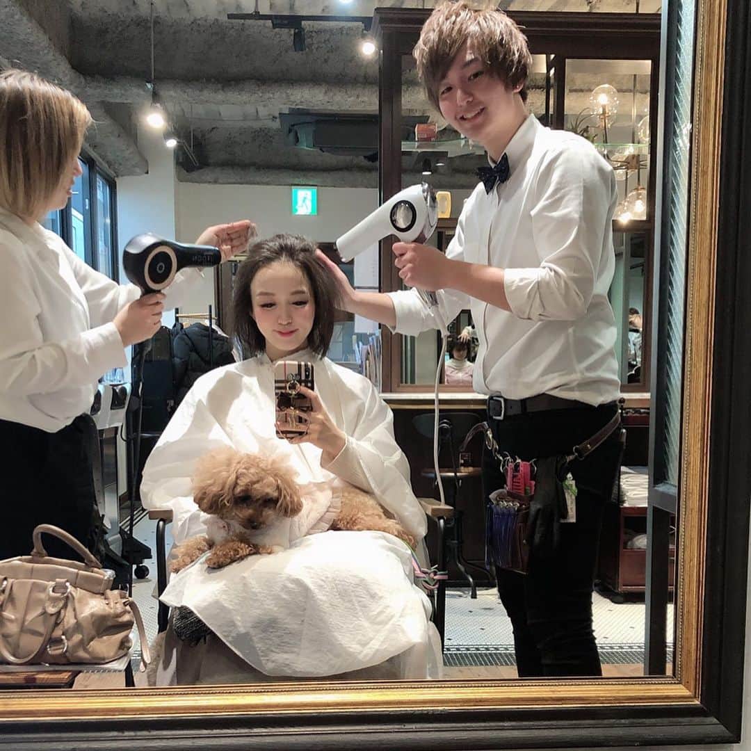 関口未来さんのインスタグラム写真 - (関口未来Instagram)「令和元年最後のヘアメンテ💇‍♀️ . 産前にあともう一回行けると信じて…😣髪の毛はまとまりやすくスタイリングしていただき、Aujuaトリートメント、色が飛ばないように暗くショコラグレージュにしていただきました🥳  一応いけなかったら嫌なので、減ってきたAujuaのクエンチのシャンプーとアウトバスヘアオイルも購入💗  スタイリング&カット➡️ @onoueyuki_leverage  カラー&トリートメント➡️ @kazuma_leverage  DMでも予約できるはず💙  自然分娩だと全く予想がつかないのでメンテナンスの計画がたたない😂産む前にあと行けたらバサッと切るかな〜それかスタイリングしなくてもいいような、かきあげスタイルにするか… どっちがいいかな🤔？ . . . #美容院 #メンテナンス #ヘアメンテナンス #ヘアメンテ #リバレッジ広尾  #リバレッジ #広尾 #ショートボブ #ショコラグレージュ #2019aw #hairsalon #トーンダウン #aujua #aujuaトリートメント #カラーリング #カット #スタイリング #冬カラーリング  #妊婦 #プレママ #プレママさんと繋がりたい  #妊娠9ヶ月  #愛犬のいる生活  #愛犬のいる暮らし #モフモフ部 #トイプードル」12月19日 19時40分 - miki.sekiguchi_x