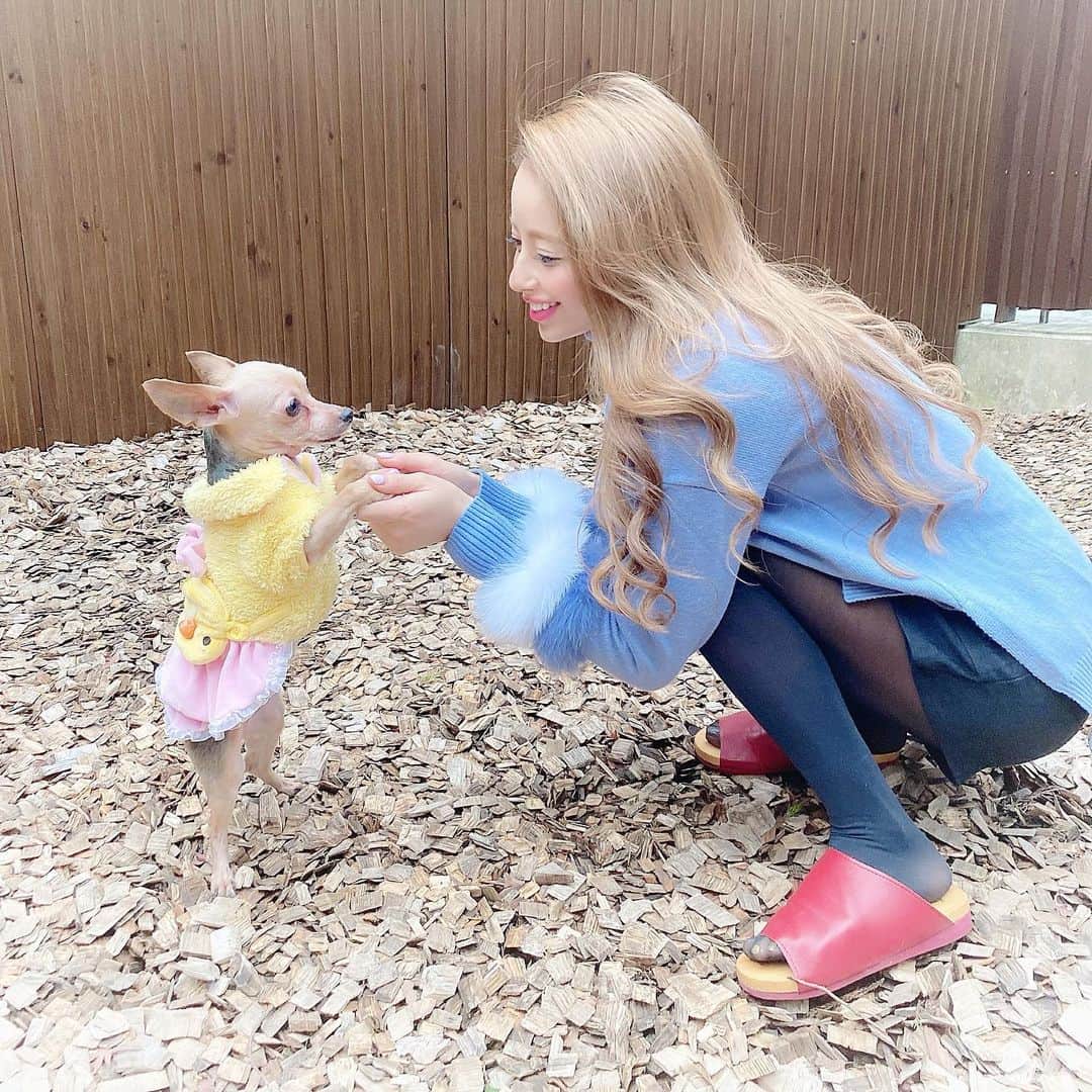 ririのグルメインスタ