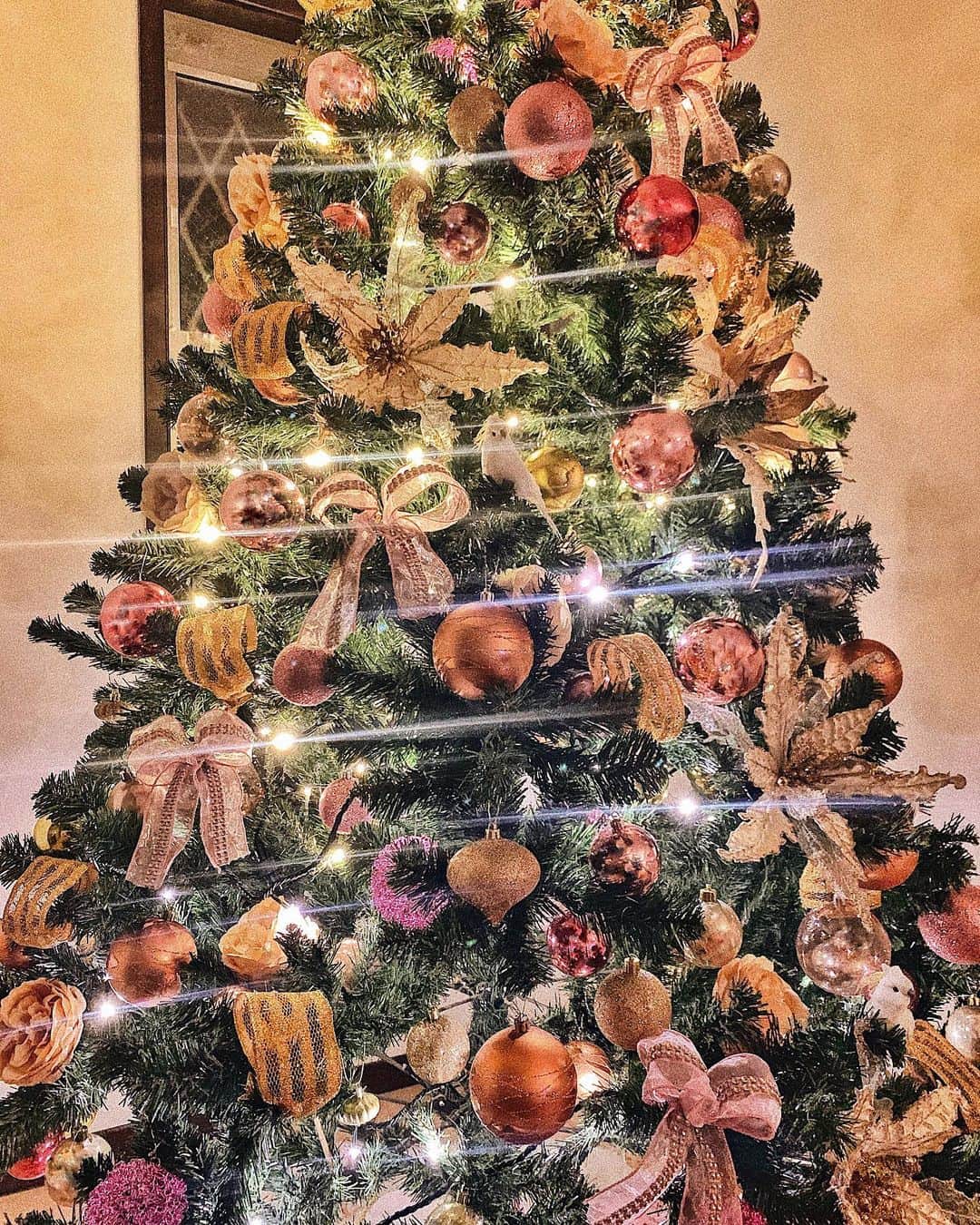 Tattyのインスタグラム：「My home Christmas Tree🎁🎄🍷 #christmastree #christmas #🎄　#クリスマス　#クリスマスツリー　#ツリー　#christmas2019」
