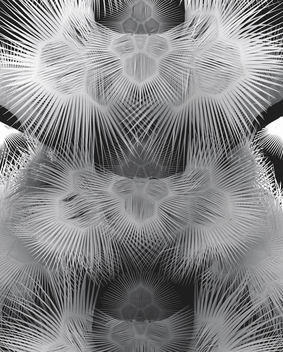 Iris Van Herpeさんのインスタグラム写真 - (Iris Van HerpeInstagram)「Our first collaboration with visionary architect Philip Beesley was for our ‘Voltage’ collection back in 2013. Since the debut of Voltage Iris van Herpen and Philip Beesley have been collaborating on numerous transcending material innovations. We here illuminate a selection of our treasured ongoing collaboration. "I remember that in our very first exchanges Iris and I spoke of things at the far edges of perception ~ of floating and diving and of radiant halos. Our ongoing work together lives on those edges. The insight I've gained from our shared work has transformed how I approach my own craft. Perhaps this comes because Iris approaches Couture as intimate architecture, expanding the boundaries of skin and clothing into rippling, efflorescing octaves of space that reach outward, upward and downward without limit.“ Philip Beesley  Video 1: ‘Lucid' dress in movement, 2016  Image 2: Atelier process photo of the ‘Lucid’ dress, 2016 Video 3: ‘Galactic glitch’ dress in movement, 2019 Image 4: ‘Magnetic Motion’ dress, Mathieu Cecar, 2015 Video 5: ‘Lucid’ shoulder dress in movement, 2019 Image 6: ‘Aeriform’ dress, 2017 Video 7: ‘Glitch’ dress in process inside the atelier, 2017 Image 8: ‘Voltage’ dress in movement, 2013 Image 9: ‘Voltage’ dress, detail photo, Bart Oomes, 2013 Image 10: ‘Omniverse’ dress, Julien Vallon, 2019  #irisvanherpen #philipbeesley」12月19日 22時02分 - irisvanherpen