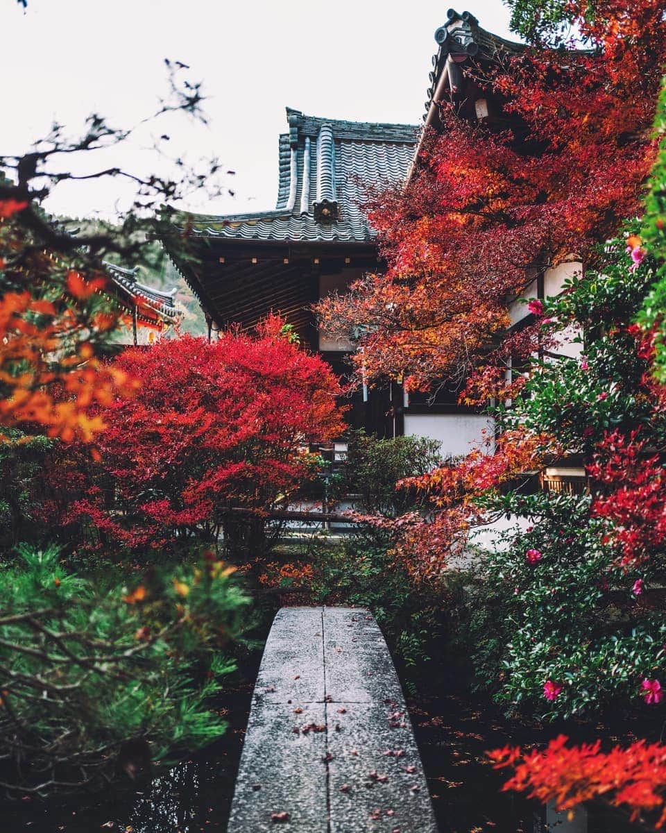 福田洋昭のインスタグラム：「Traditional architecture best mixed w/ 🍁🇯🇵」