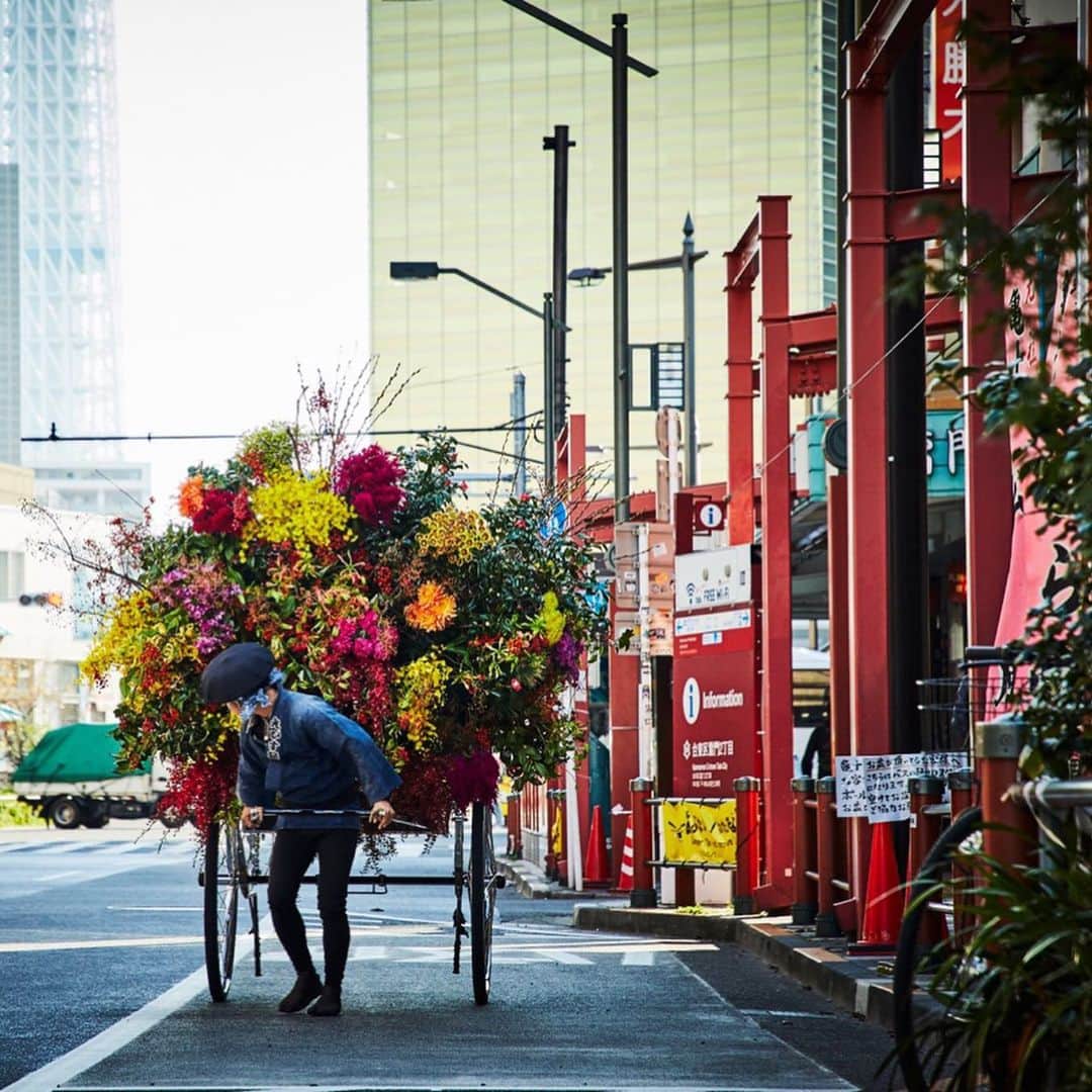 東信さんのインスタグラム写真 - (東信Instagram)「FLOWER AND MAN - Rickshaw -  #azumamakoto #shiinokishunsuke #amkk #amkkproject #flowerandman #flowers #flowerart #東信 #東信花樹研究所 #makotoazuma #rickshaw #rickshawman #asakusa」12月19日 22時17分 - azumamakoto