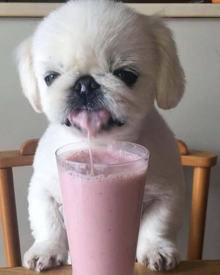 こなつのインスタグラム：「🌟😋😋Yummy🍓💓🍓💓」