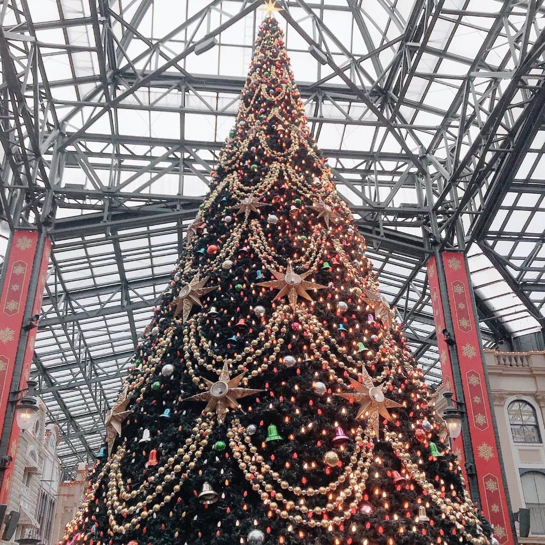 なかやまちえこさんのインスタグラム写真 - (なかやまちえこInstagram)「🎄✨🎄 #東京ディズニーランド #tdr #christmas #クリスマス」12月19日 22時55分 - chiekonakayama