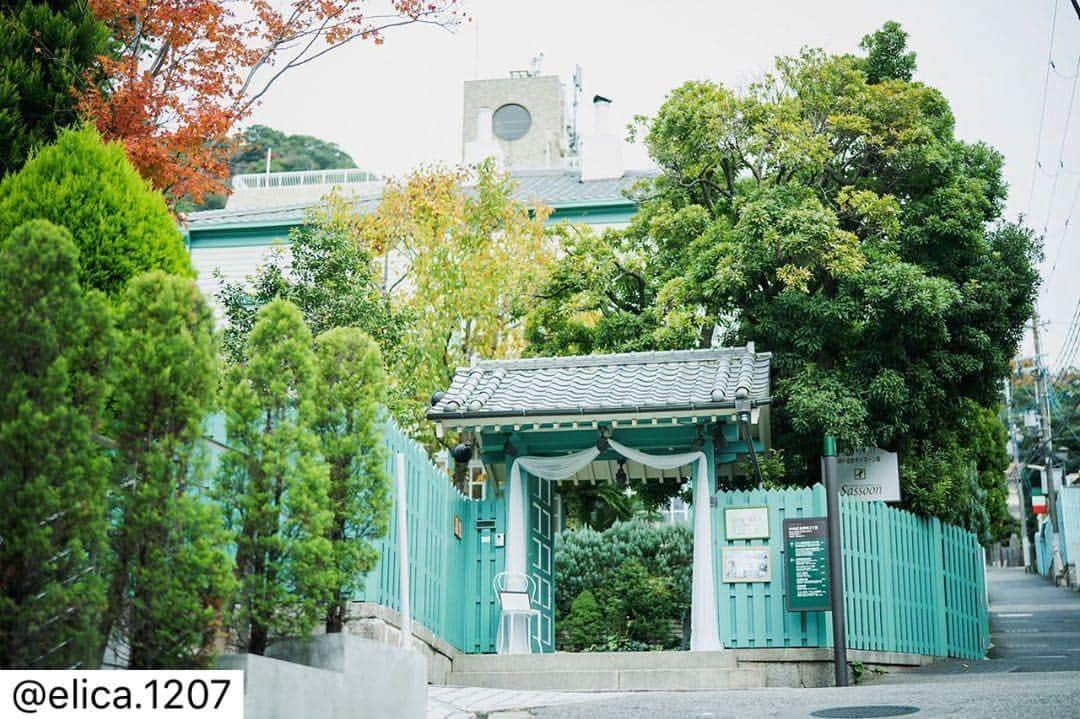 神戸北野サッスーン邸さんのインスタグラム写真 - (神戸北野サッスーン邸Instagram)「・ @sassoon_weddingplace ＊  サッスーン邸卒花さまのInstagramをリポストさせていただきました＊　 @elica.1207 様  このたびは、ご結婚おめでとうございます♡ 幸せいっぱいのおふたりのお姿に、  ご一緒にお手伝いさせていただけたこと。 サッスーン邸スタッフ一同、感謝の気持ちと嬉しさでいっぱいです‼︎‼︎ ・ またいつでも‼︎サッスーン邸に遊びにいらしてくださいね✨  この度は、嬉しいご投稿ありがとうございます‼︎ ・ ・  #サッスーン邸 #神戸北野サッスーン邸 #神戸結婚式 #北野結婚式 #北野異人館 #関西結婚式場 #結婚式準備 #花嫁準備 #プレ花嫁 #貸切ウエディング #神戸花嫁 #異人館ウェディング #ナチュラルウェディング #異人館 #歴史的建造物 #アンティークウェディング #邸宅ウェディング #兵庫結婚式 #北野異人館 #ウェディングパーティー #新神戸結婚式場 #ゲストハウスウェディング #ウェディングサロンイノウエ #フォーシスアンドカンパニー #poetika #l4l #like4like #サンジョルディフラワーズ #神戸結婚式見学会」12月19日 23時35分 - sassoon_weddingplace