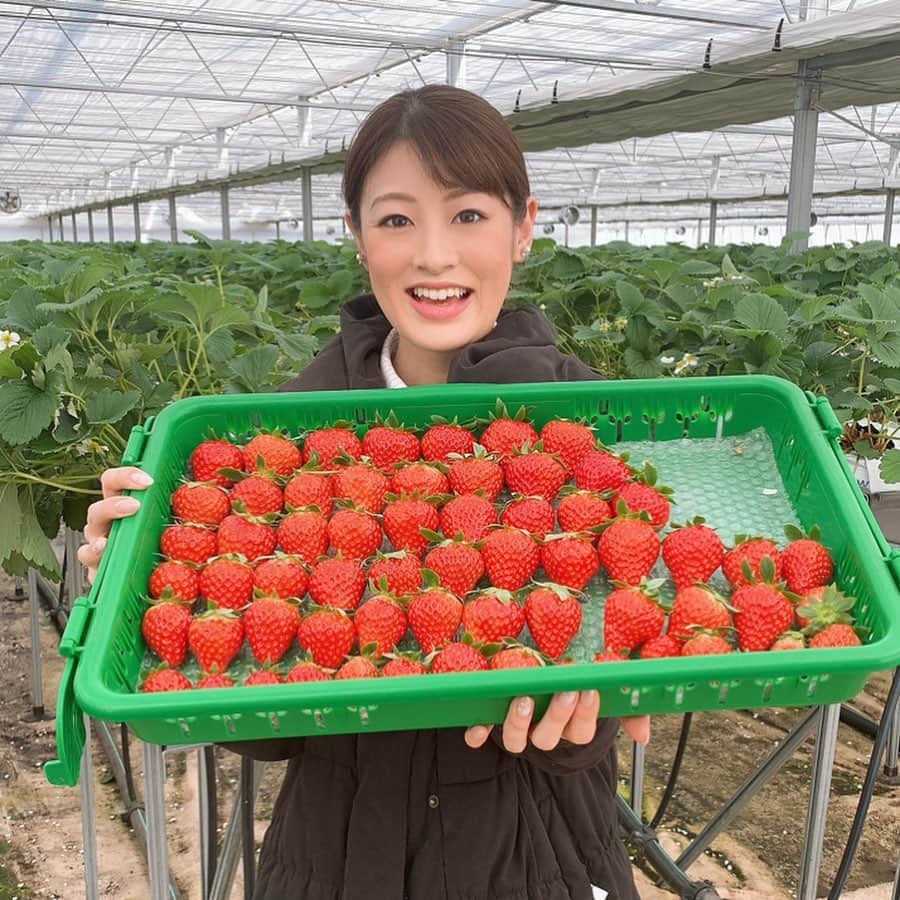 小宮山瑞季のインスタグラム