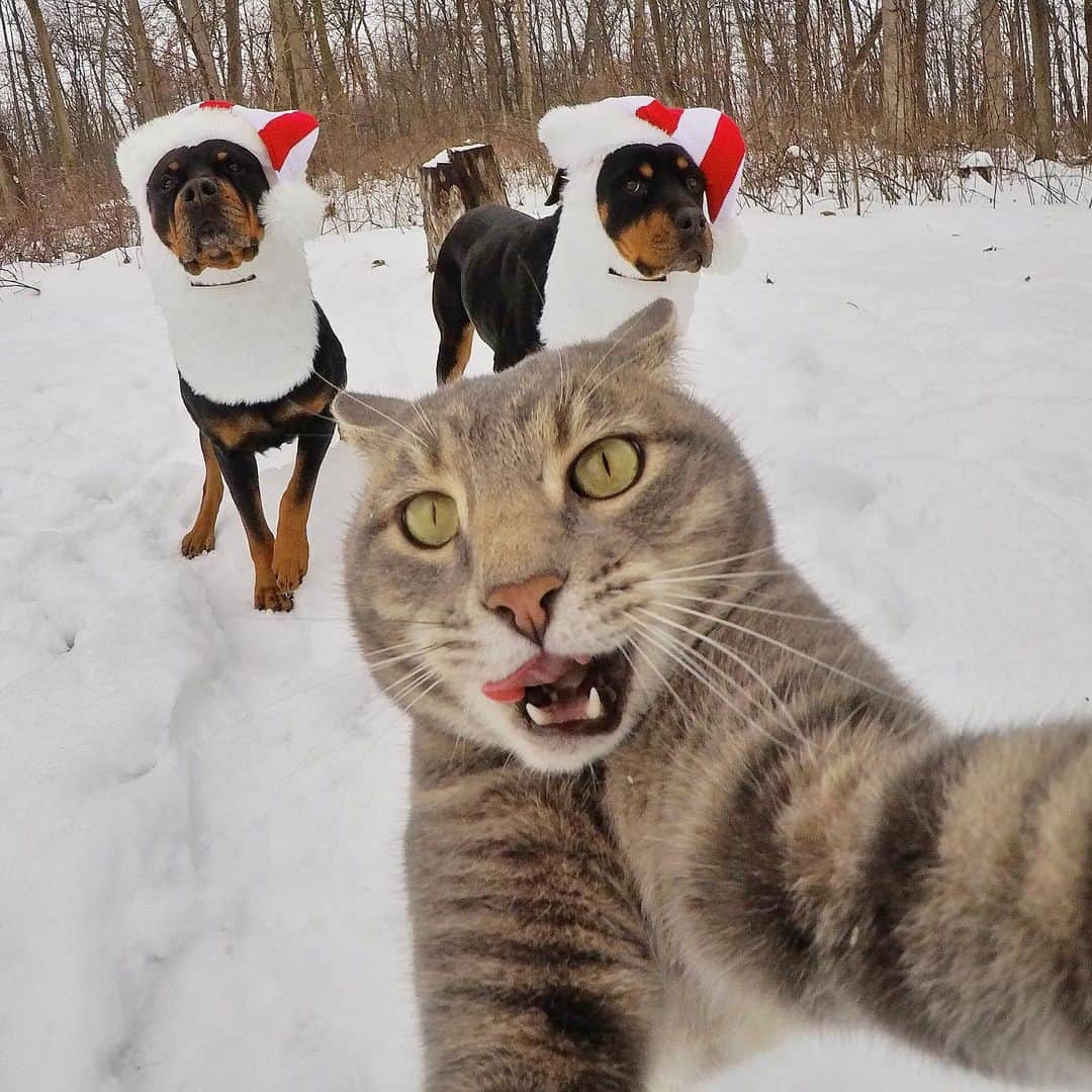マニーのインスタグラム：「🎅 Until next year... ✌️& ❤️」