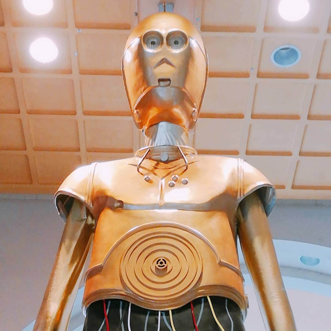 佐藤裕二さんのインスタグラム写真 - (佐藤裕二Instagram)「May the Force be with you！  #ナナちゃん人形 #ナナちゃん  #フォース#恐るべし#もはやナナちゃんでは、、、 #フォースと共にあらんことを #c3po #名駅 #名古屋駅 #スターウォーズ ##今日#公開  #スカイウォーカー #スカイウォーカーの夜明け  #見たいな #メーテレ  #ドデスカ #佐藤裕二」12月20日 12時07分 - karaage_satou
