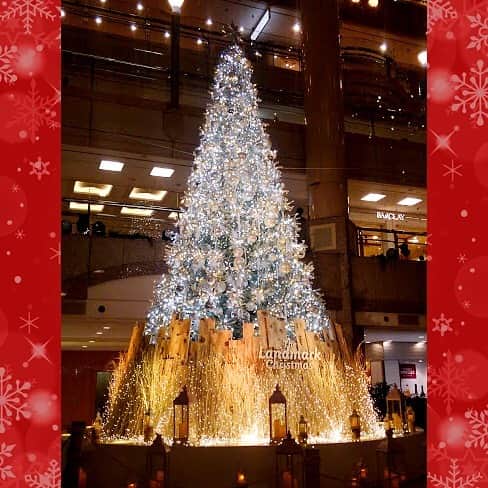 GODIVAさんのインスタグラム写真 - (GODIVAInstagram)「ゴディバ ランドマークプラザ店の周辺では、観覧車やクリスマスツリーのイルミネーションが点灯し、煌めく街並みを満喫できます🎡✨ . 赤レンガ倉庫ではクリスマスマーケットも開催中。 おでかけの際にはゴディバで笑顔溢れる甘いクリスマスチョコレートを楽しむのも、素敵な思い出としてお勧めです🎄 . #横浜 #赤レンガ倉庫 #赤レンガ #ランドマーク #みなとみらい #ゴディバ #チョコレート #チョコ #クリスマス #yokohama #landmark #minatomirai #godiva #chocolate #christmas #xmas #dessert #sweet #sweets #shopping」12月20日 12時02分 - godiva_japan