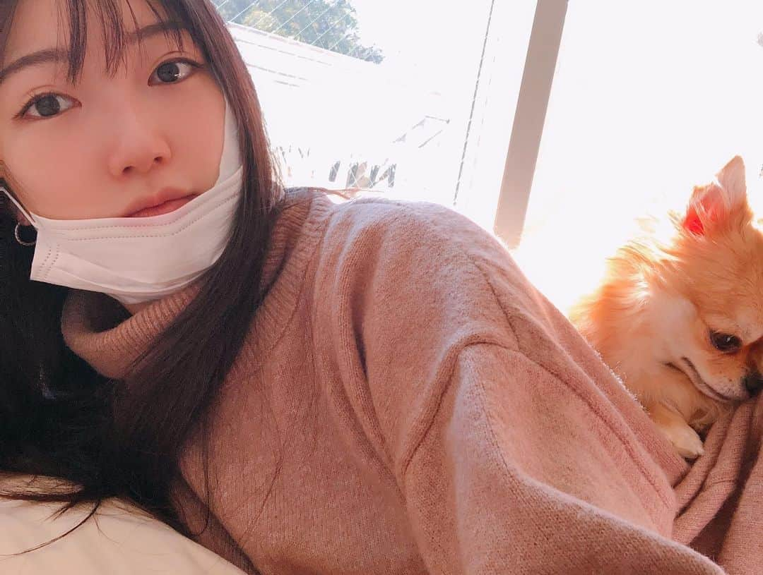 黒田絢子さんのインスタグラム写真 - (黒田絢子Instagram)「コロネはどこにいるでしょう😍 可愛いすぎてしょうがない泣 . . #黒田絢子 #じゅんコロ #幸せな時間 #親知らず」12月20日 12時16分 - ayakokuroda_official