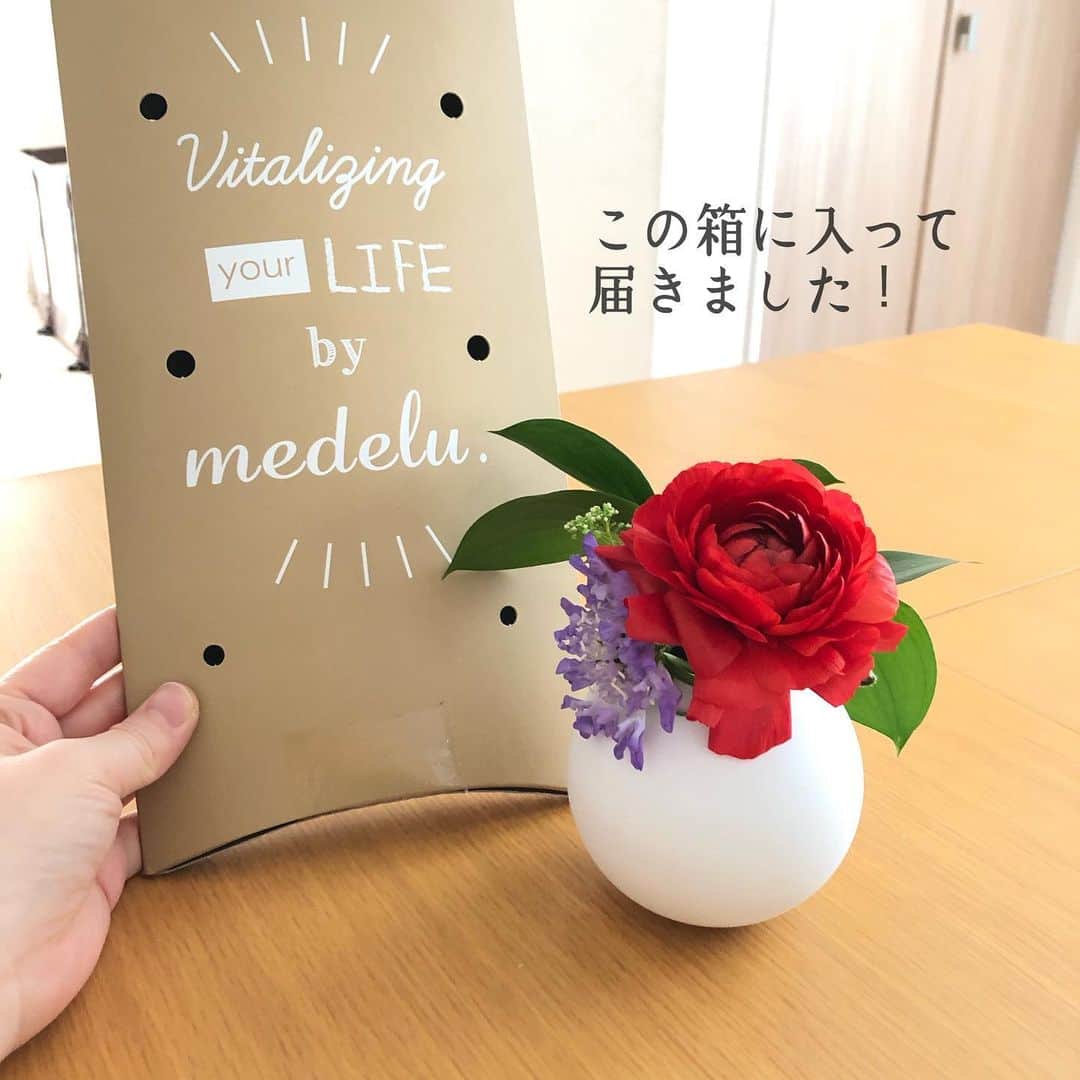 toriismartさんのインスタグラム写真 - (toriismartInstagram)「@medelu_official 様より、お花の定期便　Liteコースのモニターをさせていただきました😊 ． 毎週or隔週でかわいいお花が届く、medeluというサービスです。 ． 明治から続く会社のスタッフさんが手掛けられていて、お花の品質や鮮度が良いのだそう✨ ． 最近お花を飾っていませんでしたが、久々に飾ってみたところ、娘が「お花！お花！」と喜んで見ていました🌹✨ ． 本当はもっとたくさん緑の葉っぱがあったのですが、切り過ぎてしまいました😱💦 ． お花はポスト投函ですが、我が家のポストは入り口が小さくて入らなかったので、手渡しで受け取りました。 冬だから手渡しの方が助かる✨ ． お花が潰れないように箱に入っていて、元気な状態で届きました！ ． それにしても、お花の生け方って奥深いですね💦もっと勉強してみたくなりました😊 ． 2020年はお花のある暮らしがしたい！ ． •••••••••• お得なクーポンコードを発行していただきました⭐️ ． 初回80％OFF🌹✨ クーポンコード「03QL」 ※先着10名様まで •••••••••• ． medeluさん、素敵なお花をありがとうございました✨ ． #medelu #お花の定期便 #お花のある暮らし #フラワーベース #花瓶 #一条工務店 #アイスマート #ismart」12月20日 12時20分 - toriismart