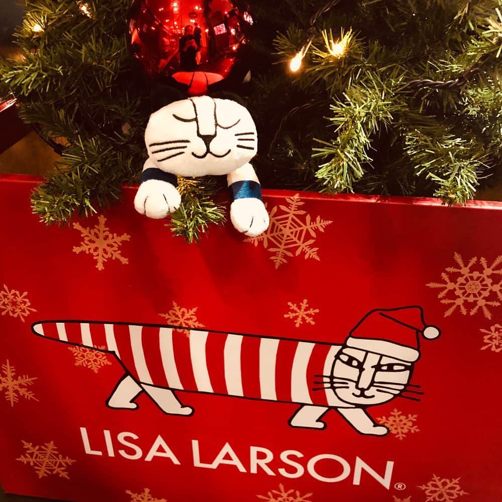 リサラーソンさんのインスタグラム写真 - (リサラーソンInstagram)「”LISA LARSON CHRISTMAS＠銀座マロニエゲート1”﻿ ﻿ マロニエゲート銀座1では12月25日まで、リサ・ラーソンのクリスマス装飾が見られます！﻿ エントランスにある生のもみ木を使った巨大ツリーは見どころ。﻿ 木の下ではクリスマスらしくサンタ帽をかぶったマイキーがお出迎えしてくれます。﻿ ﻿ さらに、各フロアに置かれたミニツリーには全てリサ・ラーソンのキャラクターのぬいぐるみが隠れているんです！﻿ お買いものを楽しみつつ、隠れているぬいぐるみたちも探してみてくださいね。﻿ ﻿ 同じく、マロニエゲート銀座1の４Fではリサ・ラーソンのコラボカフェ「LISA LARSON Fika TOKYO」﻿ もオープンしております。ぜひお立ち寄りください！﻿ ﻿ #lisalarson #LisaLarson #sweden #北欧 #北欧雑貨 #北欧インテリア #リサラーソン #スウェーデン #インテリア #マーケット #ショッピング #マロニエゲート #銀座 #コラボカフェ #コラボクリスマス　#猫 #ねこ #Fika #フィーカ  #クリスマス」12月20日 12時20分 - lisalarsonjp