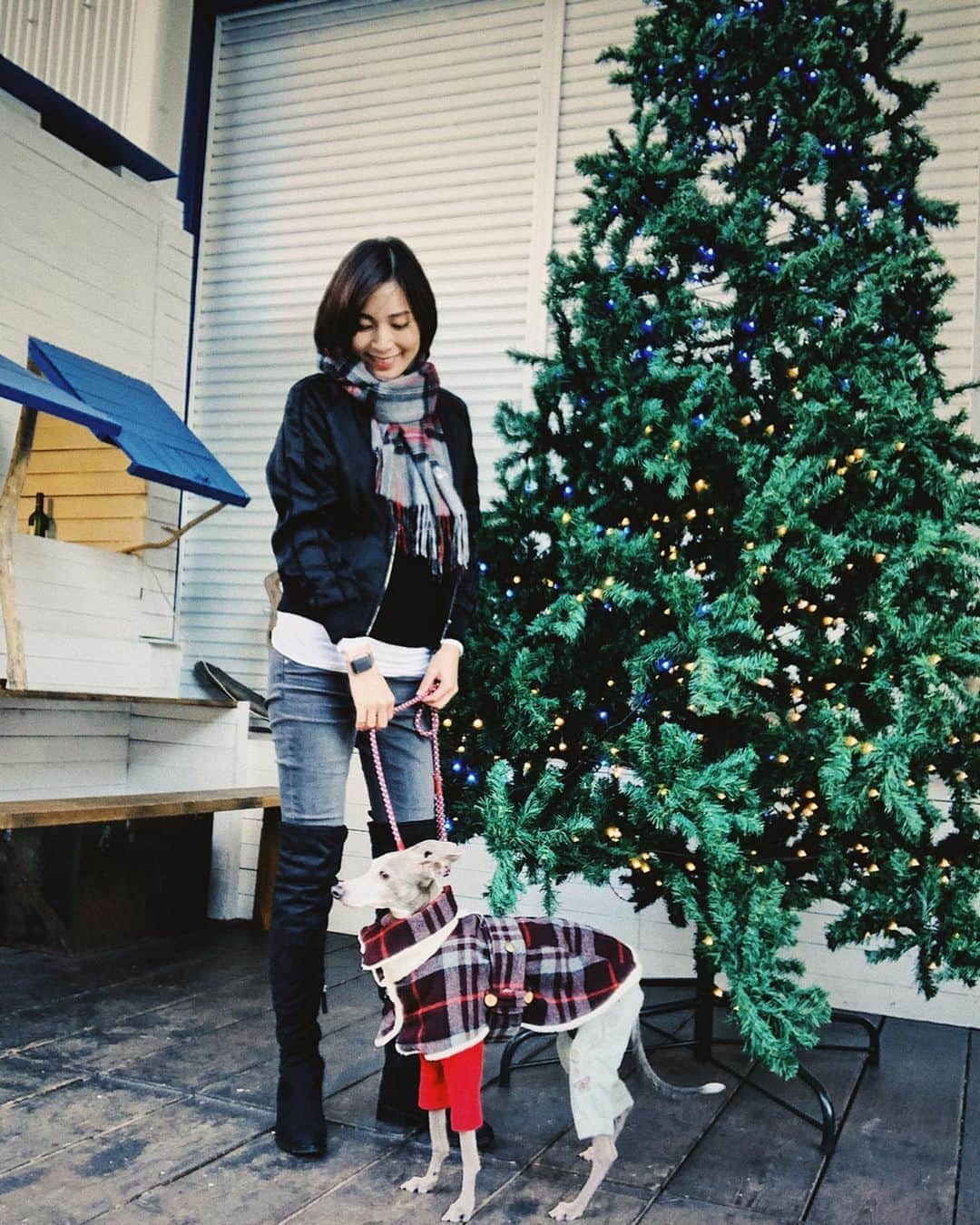 のインスタグラム：「* ******** We are excited when we see the tree🎄 * 街中がキラキラとしていると、寒くても心はウキウキしますね。 家にもツリーを飾りたいなぁと毎年思うものの、設置と片付けのことを考えていつも諦めてしまいます😂 自分達だけのツリーを手に入れるのはいつになるやら…🎄 * ******** #イタグレ#イタリアングレーハウンド#italiangreyhound#dogstagram#イタグレとの暮らし#iggysofinstagram#iggygram #iggylove#iggylife#犬のいる暮らし#イタグレ服#iggysoftheworld #iggysofinstagram #dogsofig #dogsofinstagram #プチプラコーデ #犬好きな人と繋がりたい#オシャレさんと繋がりたい#犬服ハンドメイド#リンクコーデ#おんせん県おおいた」