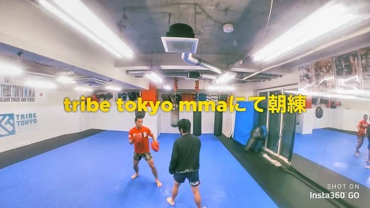 上中丈弥のインスタグラム：「いい朝でした。これからイナ戦の撮影。楽しくね。 ガンバッペー  #イナ戦 #イナズマ戦隊 #tribetokyomma  #bjj #柔術 #jiujitsu」
