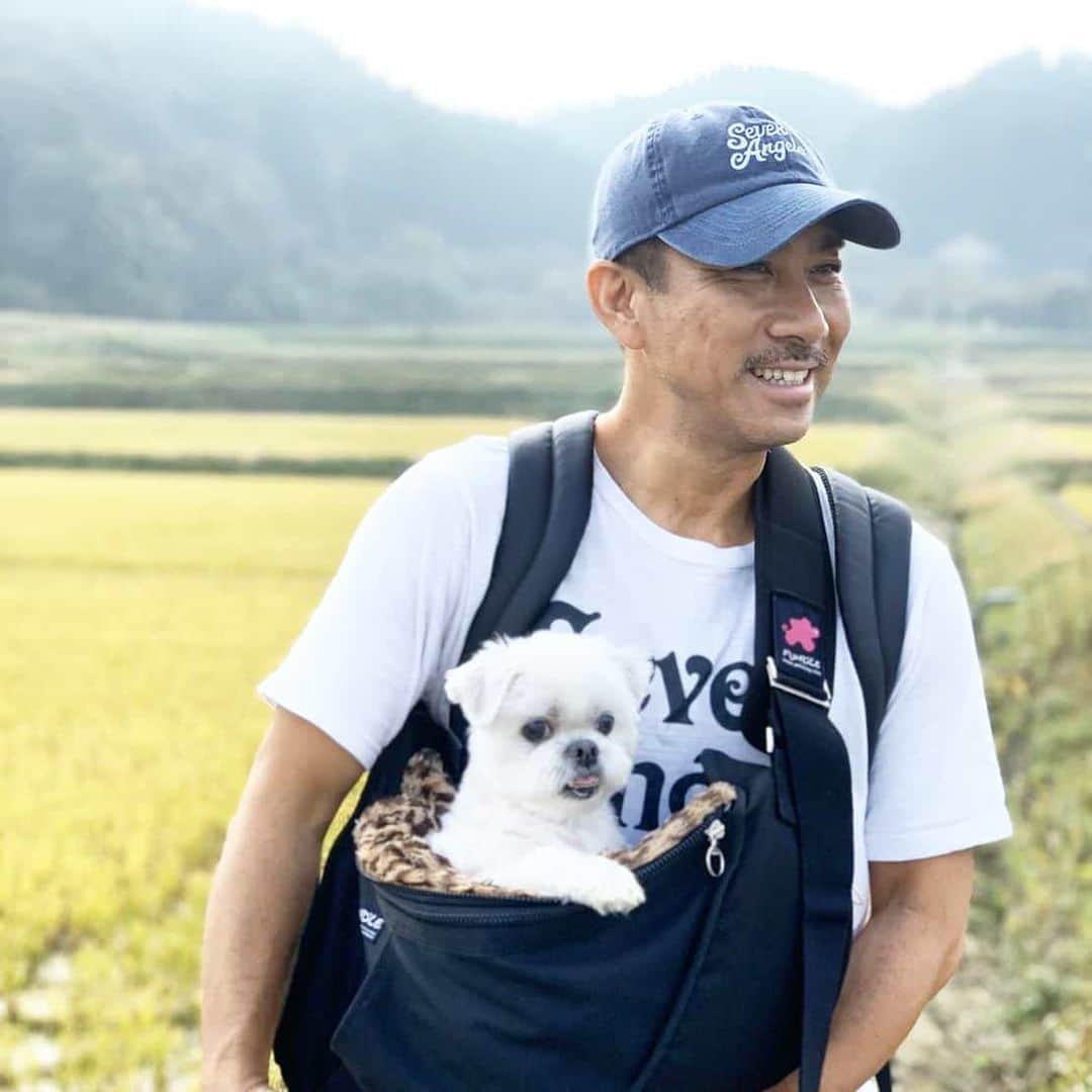 前園真聖さんのインスタグラム写真 - (前園真聖Instagram)「ウォーキング😆 #アンジェロ #ミックス犬 #ウォーキング #散歩 #前園真聖」12月20日 13時19分 - maezono_masakiyo