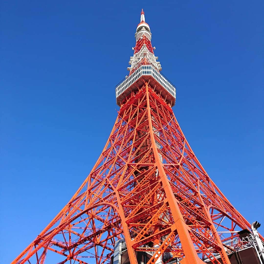 くぼてんきさんのインスタグラム写真 - (くぼてんきInstagram)「東京タワー、下から見るか  #東京タワー #真下から見たら #首疲れた #快晴」12月20日 10時01分 - kubotenki