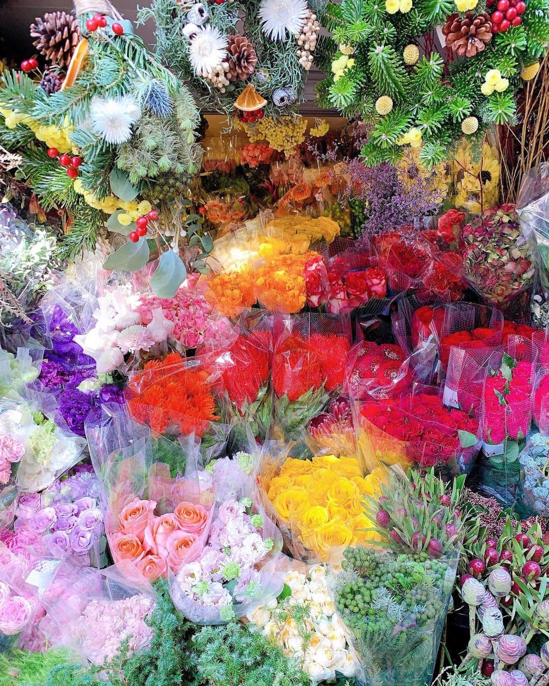 久保陽香さんのインスタグラム写真 - (久保陽香Instagram)「とっても可愛いお花屋さん。 今日はどのお花にしようか選んでる時間が幸せ。 #くぼお花」12月20日 10時28分 - kubo_haru