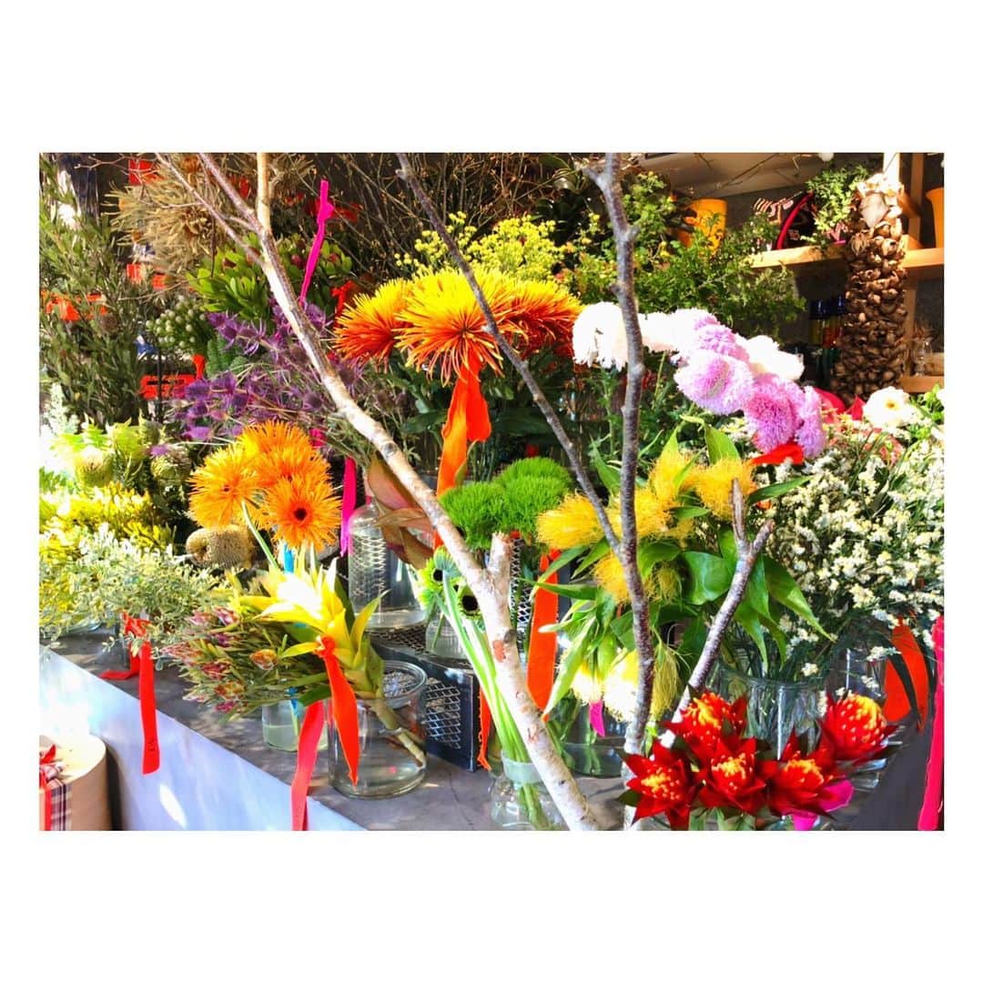 理絵さんのインスタグラム写真 - (理絵Instagram)「今日は良い天気🌞天気が良いと気分も晴れやかになる気がする🧚🏻‍♂️ .  #flowers #flower #fiore #꽃 #花 #tokyo #japan」12月20日 11時33分 - ____rie____