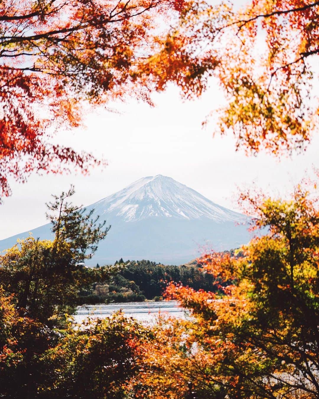 GENTAのインスタグラム：「🗻🍁 #planar」