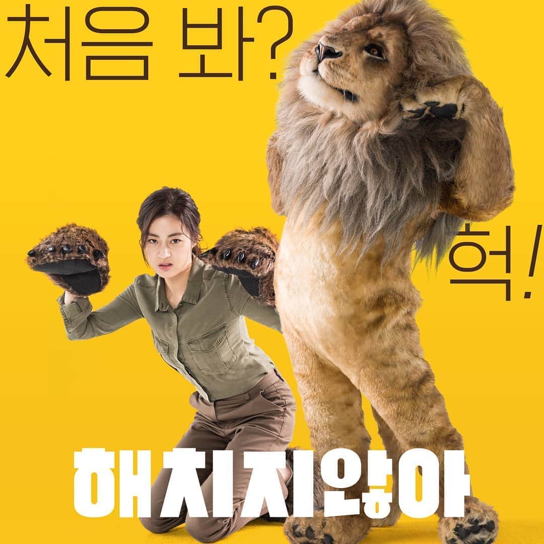 カン・ソラのインスタグラム：「#직립보행사자 #알러지사자 #앞만보는사자 #이족보행사자  #mycharacter #lion #roar」