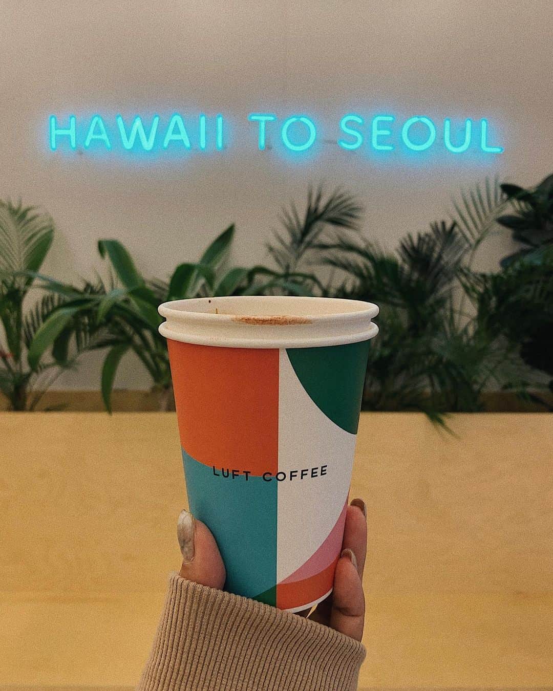 草野春香さんのインスタグラム写真 - (草野春香Instagram)「. @luft_coffee 🌺🌴 次は1月か2月に行きたいな✈️🇰🇷 ここのカフェ2週連続で行ったよ☕️ #luftcoffee #cafe #韓国カフェ #明洞カフェ #韓国」12月20日 22時13分 - _haruka030_