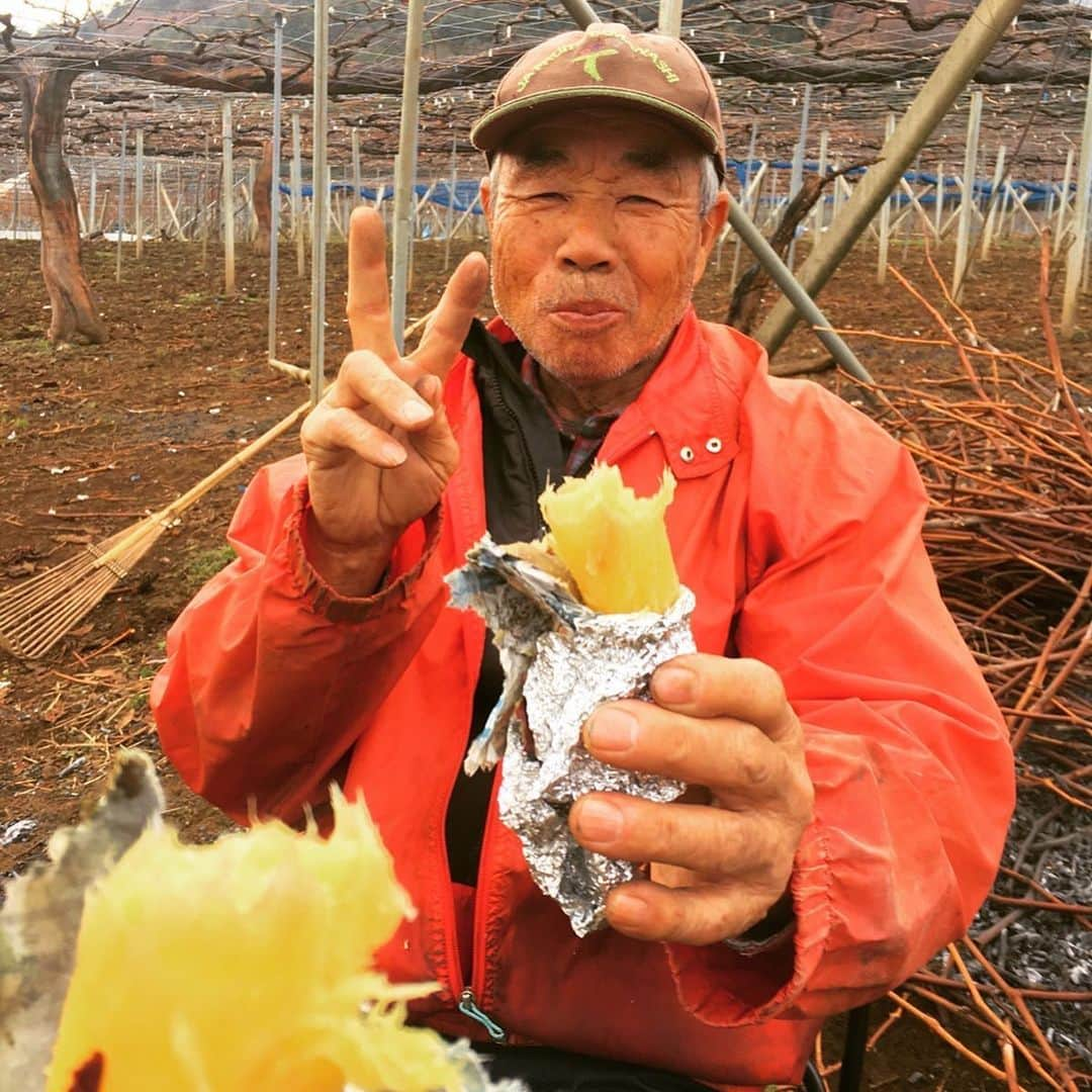 ふじさん冷蔵のインスタグラム：「今日の畑のおやつは、茨城の農場から届いたさつまいもで焼き芋！ 焚き火はぶどうの枝の剪定枝^_^  最高です^_^  さつまいものかき氷のシロップとか作っても美味しそうと思いました^_^ 社長に提案してみよう！  それぐらい甘い^_^  #焼き芋 #冬は #やっぱり #焼き芋」