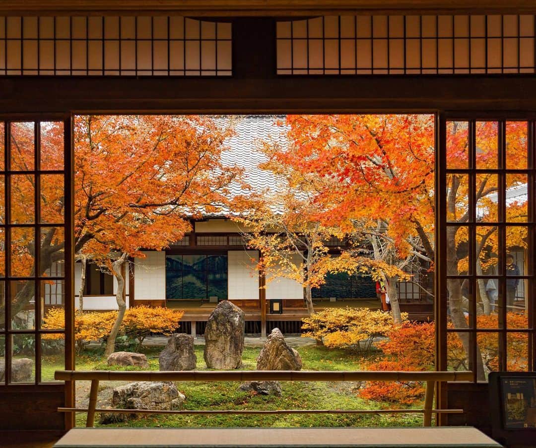 詩歩さんのインスタグラム写真 - (詩歩Instagram)「🍁﻿ ﻿ まだ楽しめる京都の秋スポット！﻿ Autumn leaves are still red in Kyoto even in December! ﻿ ﻿ こちらは昨日訪れた、建仁寺の紅葉。﻿ もうギリギリかな〜という日だったけど、お庭の紅葉が色鮮やかに出迎えてくれました🍁﻿ ﻿ 建仁寺は1202年に栄西を開山として源頼家が創設した禅寺。﻿ ﻿ 日本で最も古い禅寺で、あの国宝の名画「風神雷神図屏風（俵屋宗達）」があるお寺でもあります。﻿ ﻿ 1枚目の写真で奥の間にチラっと見えているのが「風神雷神図屏風」🐉🌀🔥﻿ 歴女ゴコロめっちゃくすぐられる…！！﻿ （まあ展示品はホンモノではないけどね😝）﻿ ﻿ ちなみに、建仁寺から徒歩5分にある #六道珍皇寺 も云われがすんごい面白いお寺なので、ぜひ立ち寄ってみてください！﻿ そこから徒歩3分にある #六波羅蜜寺 もぜひ！！！！！﻿ ﻿ 祇園のこのエリアは、私みたいな歴史好きにとってはお散歩がたまらないエリアです🤤﻿ ﻿ 🌱﻿ ﻿ イベントのお知らせです。﻿ ﻿ 📚新刊「ダナン＆ホイアン PHOTO TRAVEL GUIDE」発売記念トーク＆サイン会﻿ 12/21（土）＠京都﻿ 12/22（日）＠名古屋﻿ ﻿ 今週末の開催、直前ですが、まだ残席少しあります✨﻿ ﻿ 時間や申込方法など、詳しい情報はこちら→ http://shiho.me/8196﻿ （プロフィールにもURLはってます💡）﻿ ﻿ ﻿ ﻿ 📷19th Nov 2019﻿ 📍建仁寺／京都府﻿ 📍Kenninji temple／Kyoto Japan﻿ ﻿ ﻿ ﻿ ©詩歩/Shiho」12月20日 16時44分 - shiho_zekkei